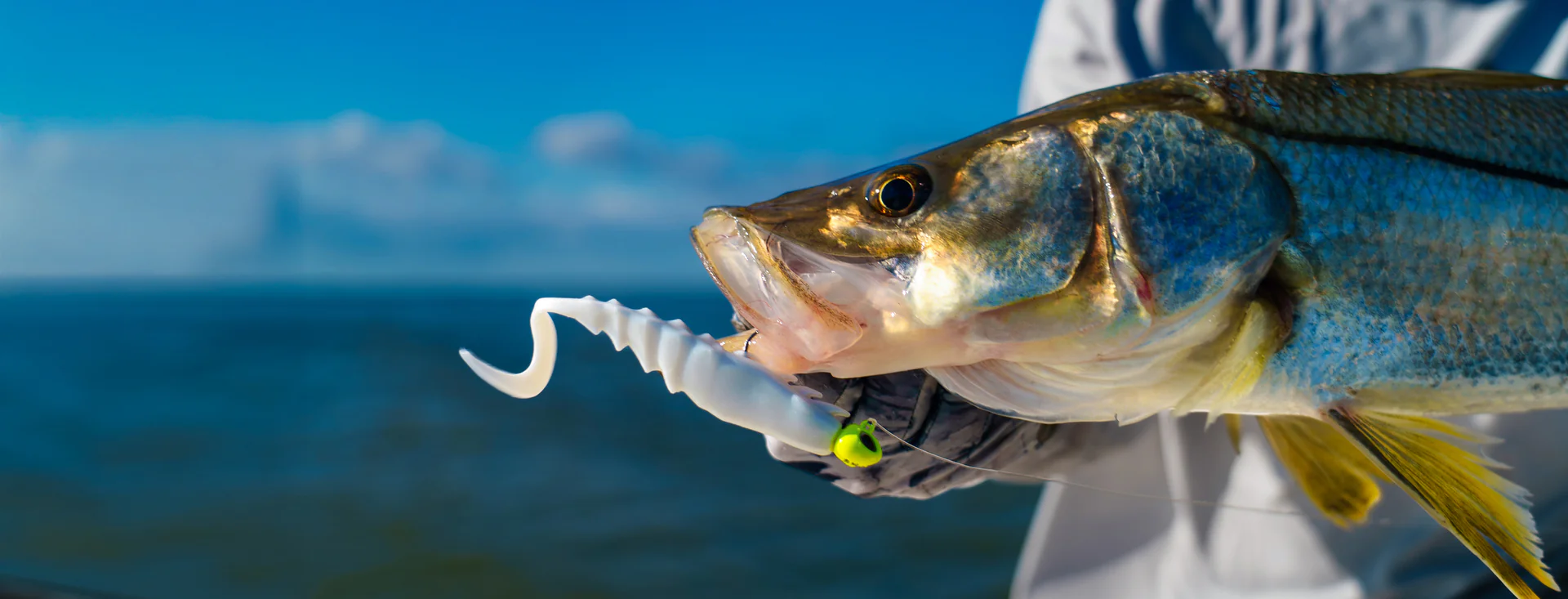 Master the Water with Berkley