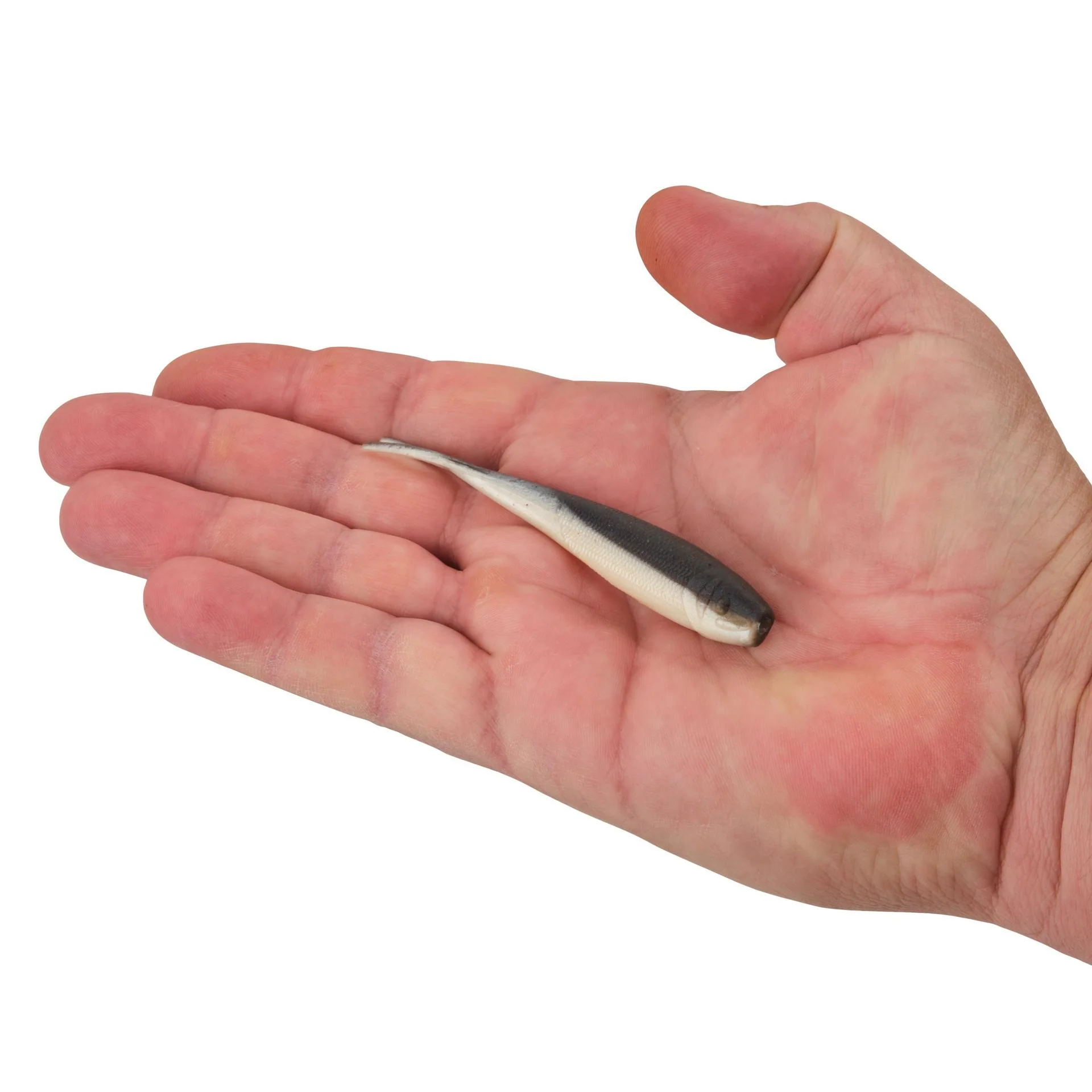 Gulp! Alive!® Minnow - Image 24
