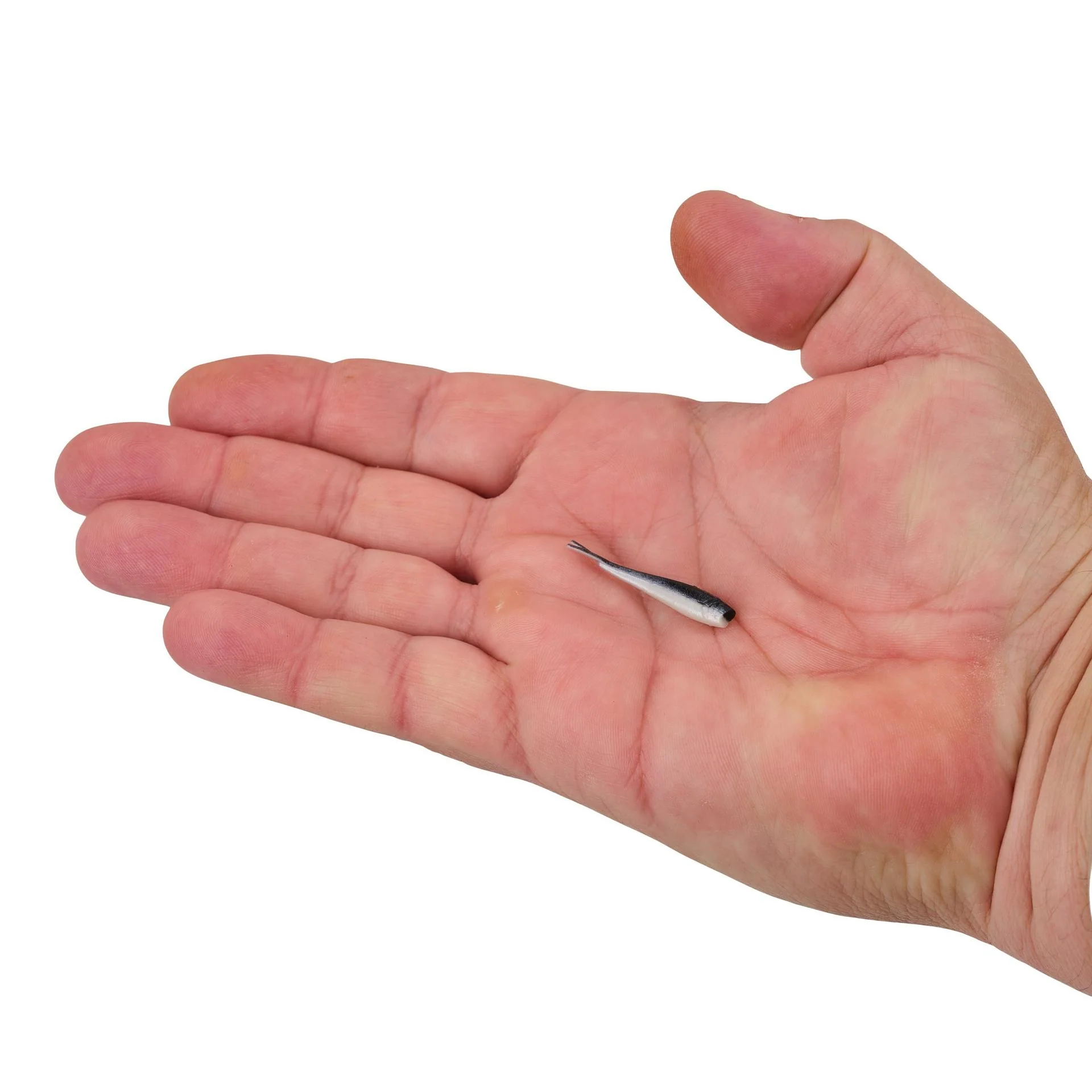 Gulp! Alive!® Minnow - Image 36