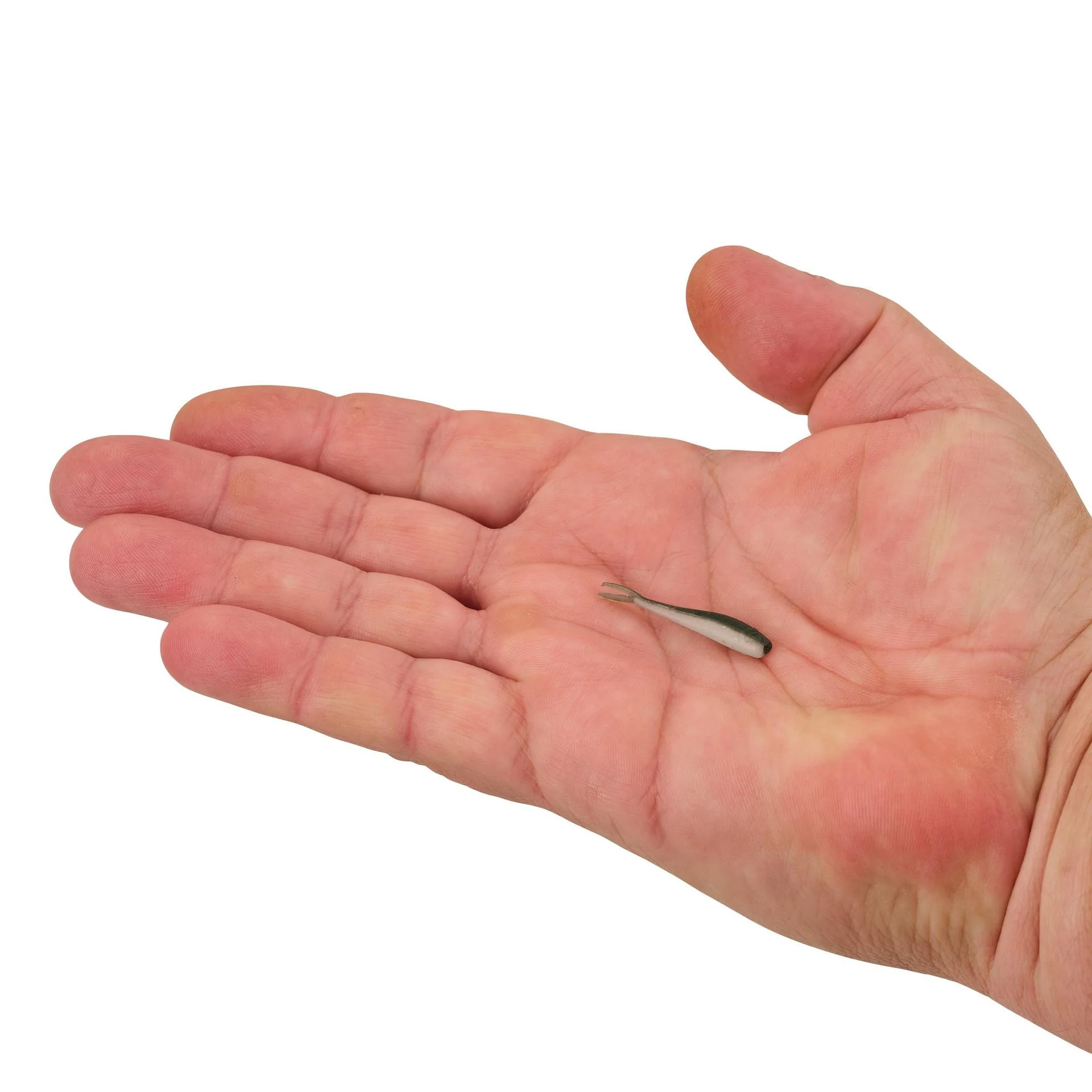 Gulp! Alive!® Minnow - Image 42
