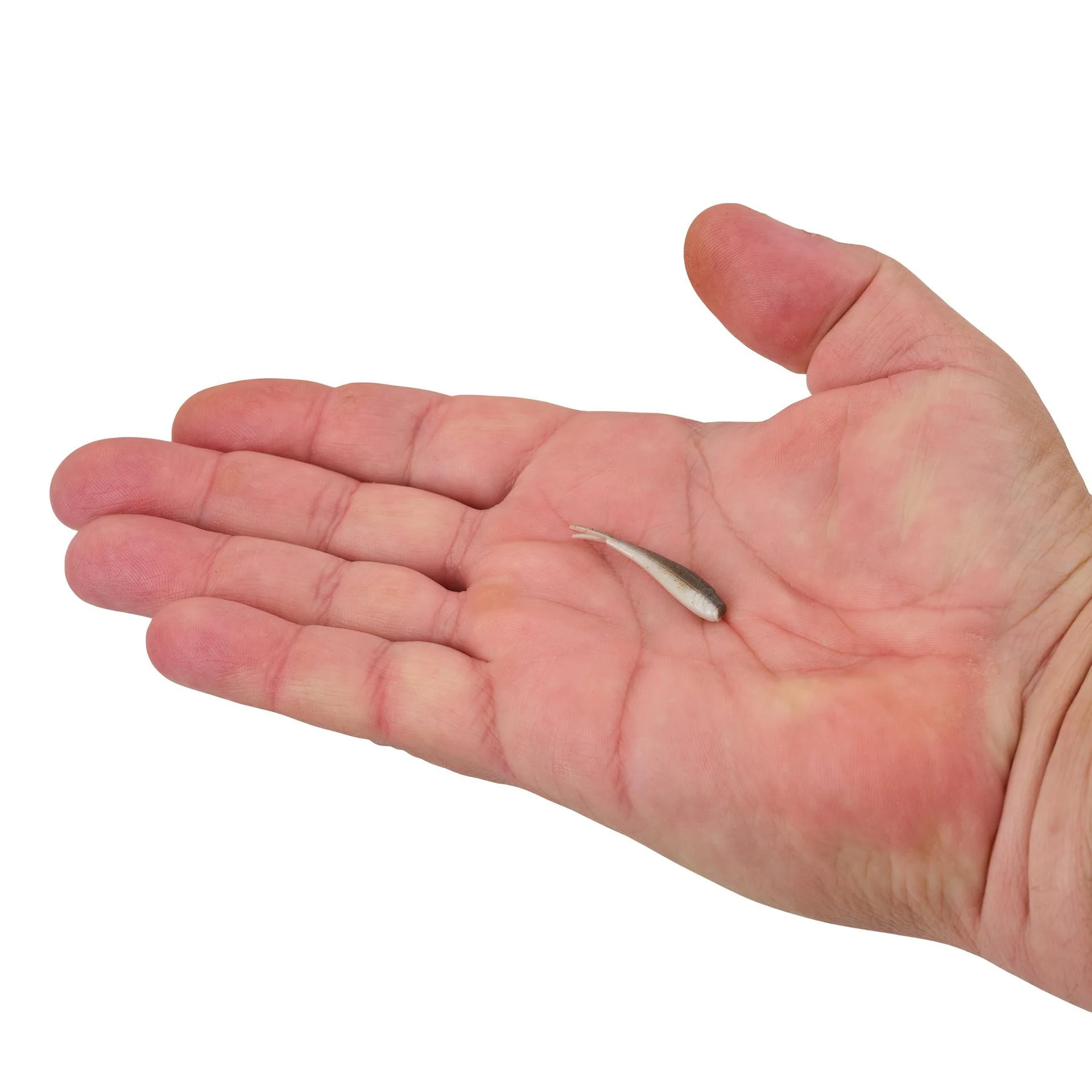 Gulp! Alive!® Minnow - Image 44