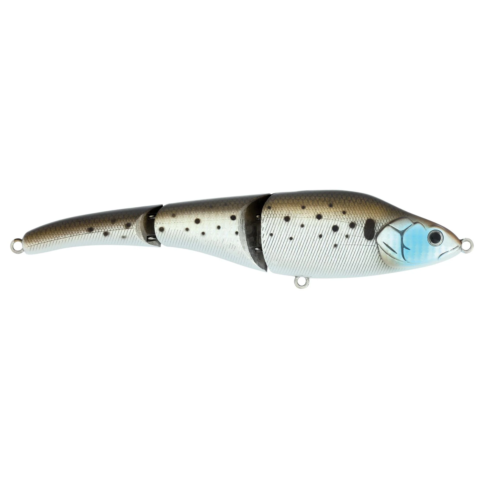 Magic Swimmer® Saltwater - Image 215