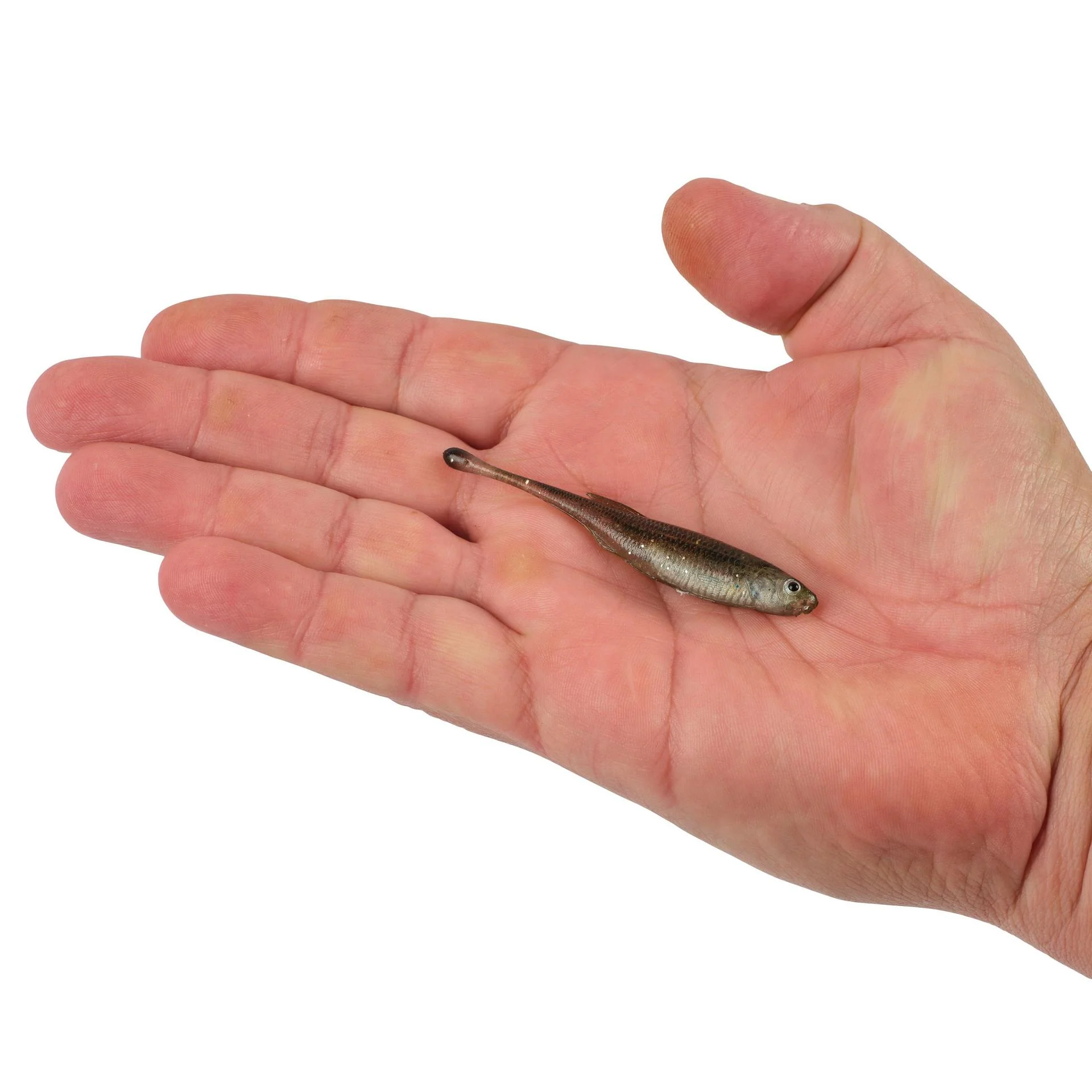 PowerBait® Drip Minnow - Image 21