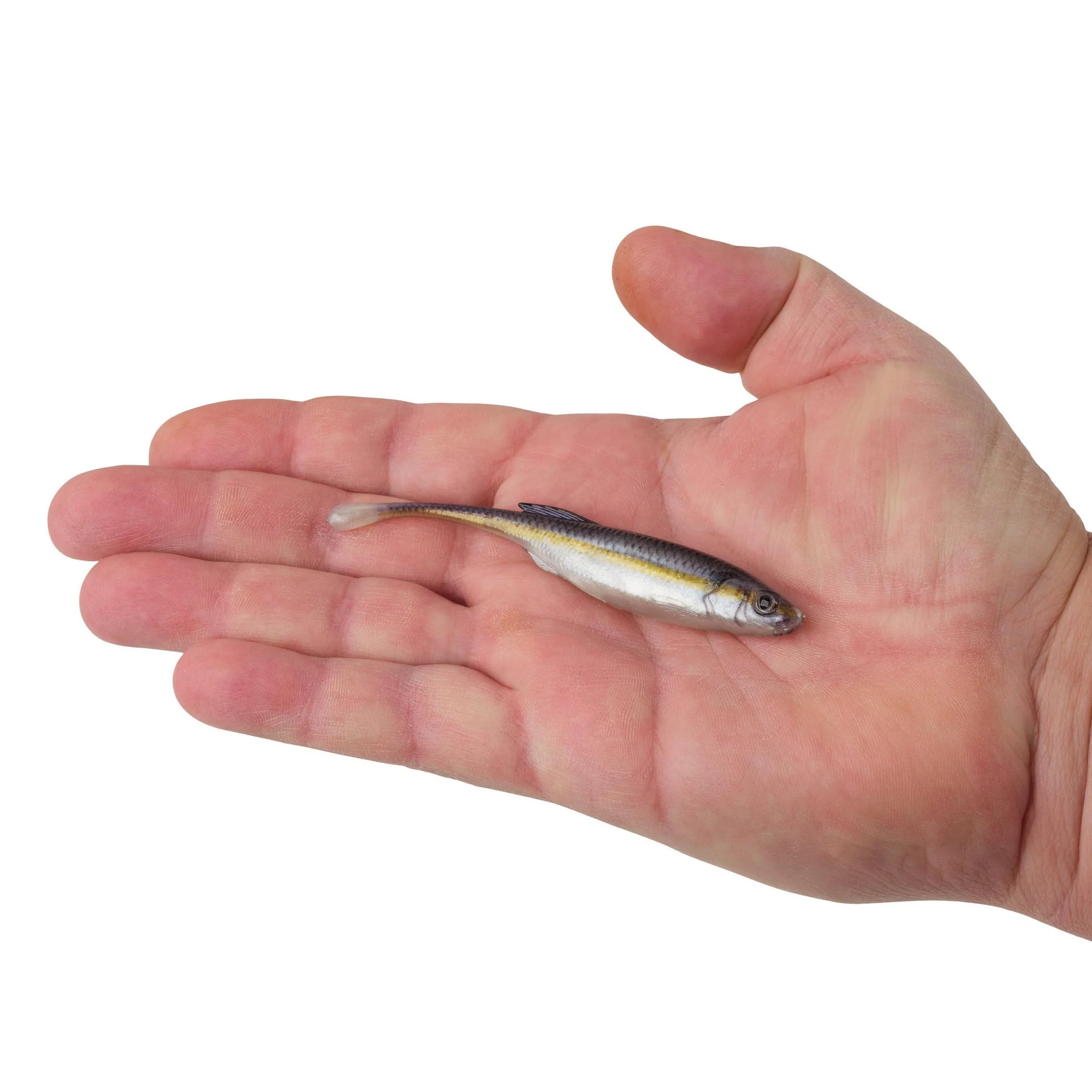 PowerBait® Drip Minnow - Image 96