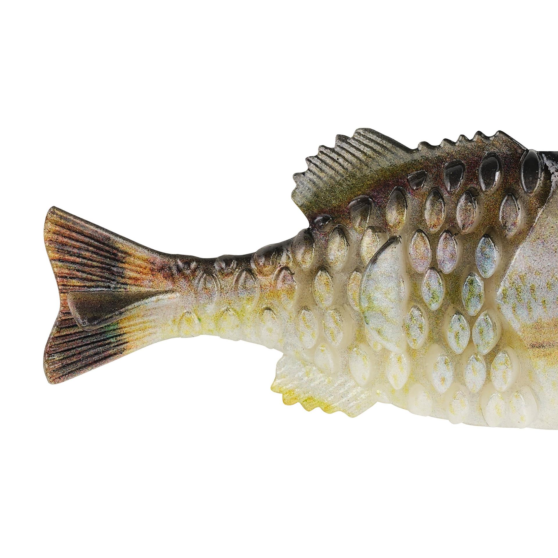 PowerBait® Gilly - Image 13