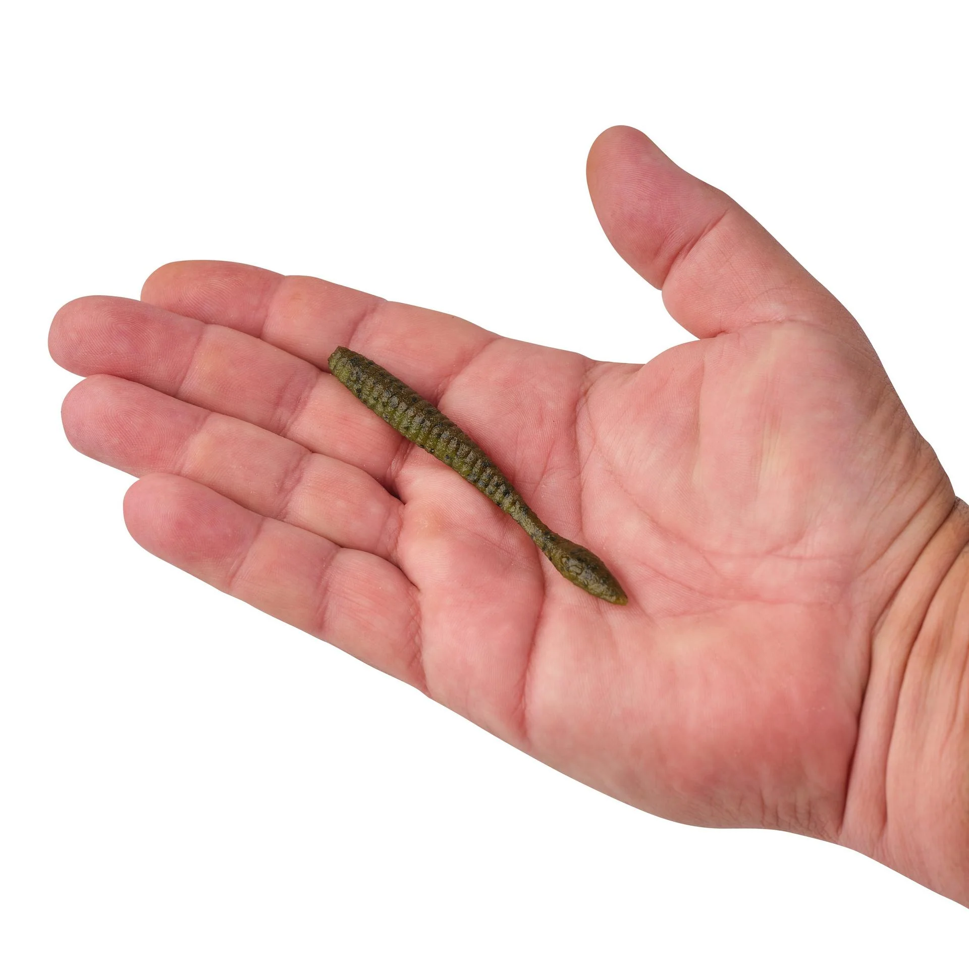 PowerBait® MaxScent Flat Worm - Image 66