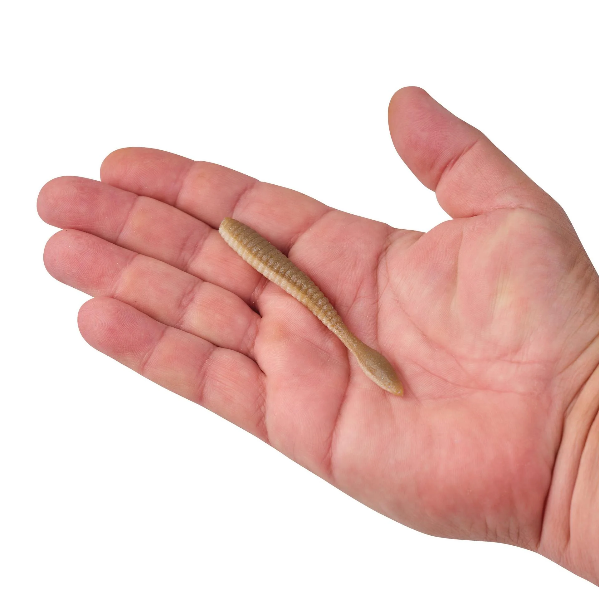 PowerBait® MaxScent Flat Worm - Image 69