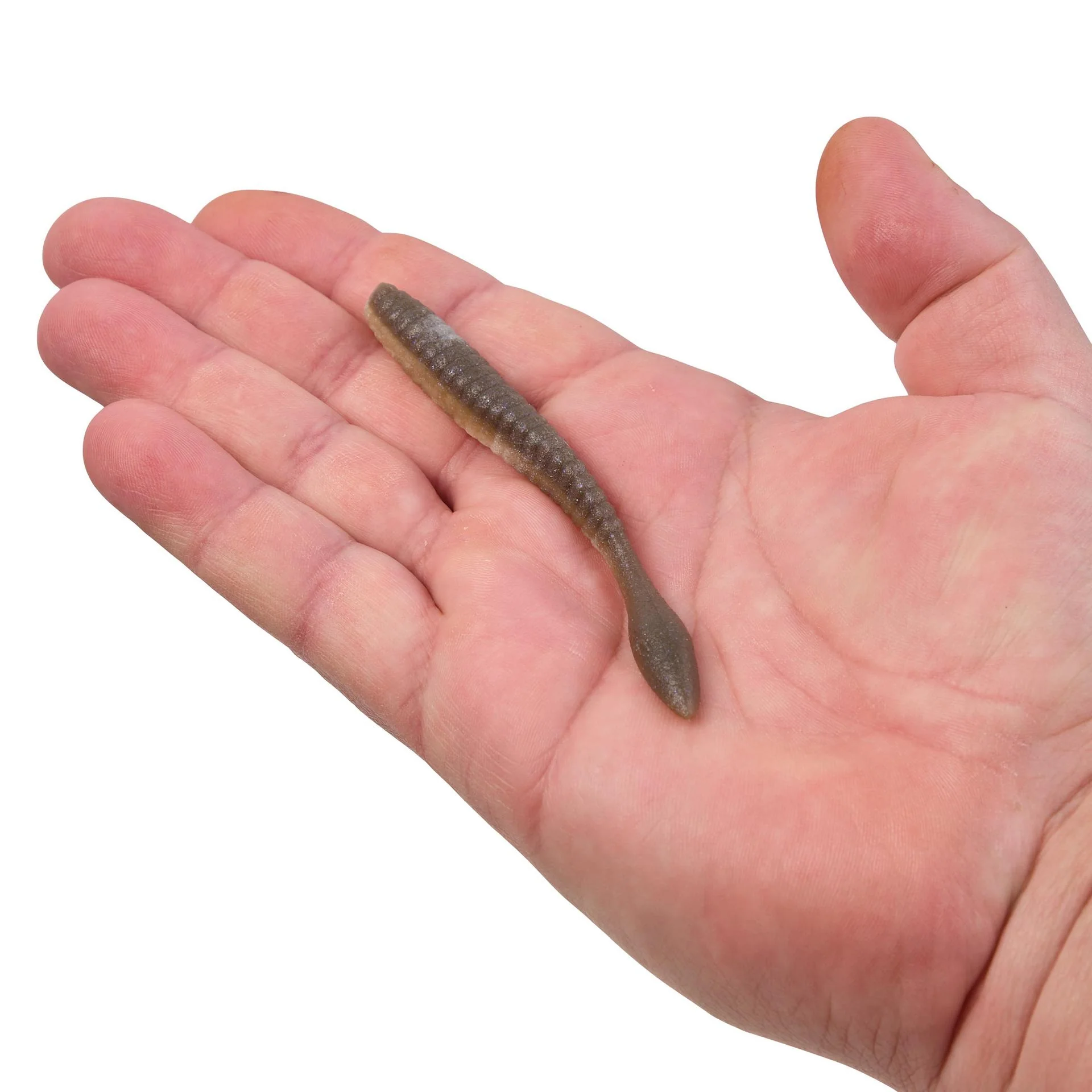 PowerBait® MaxScent Flat Worm - Image 77