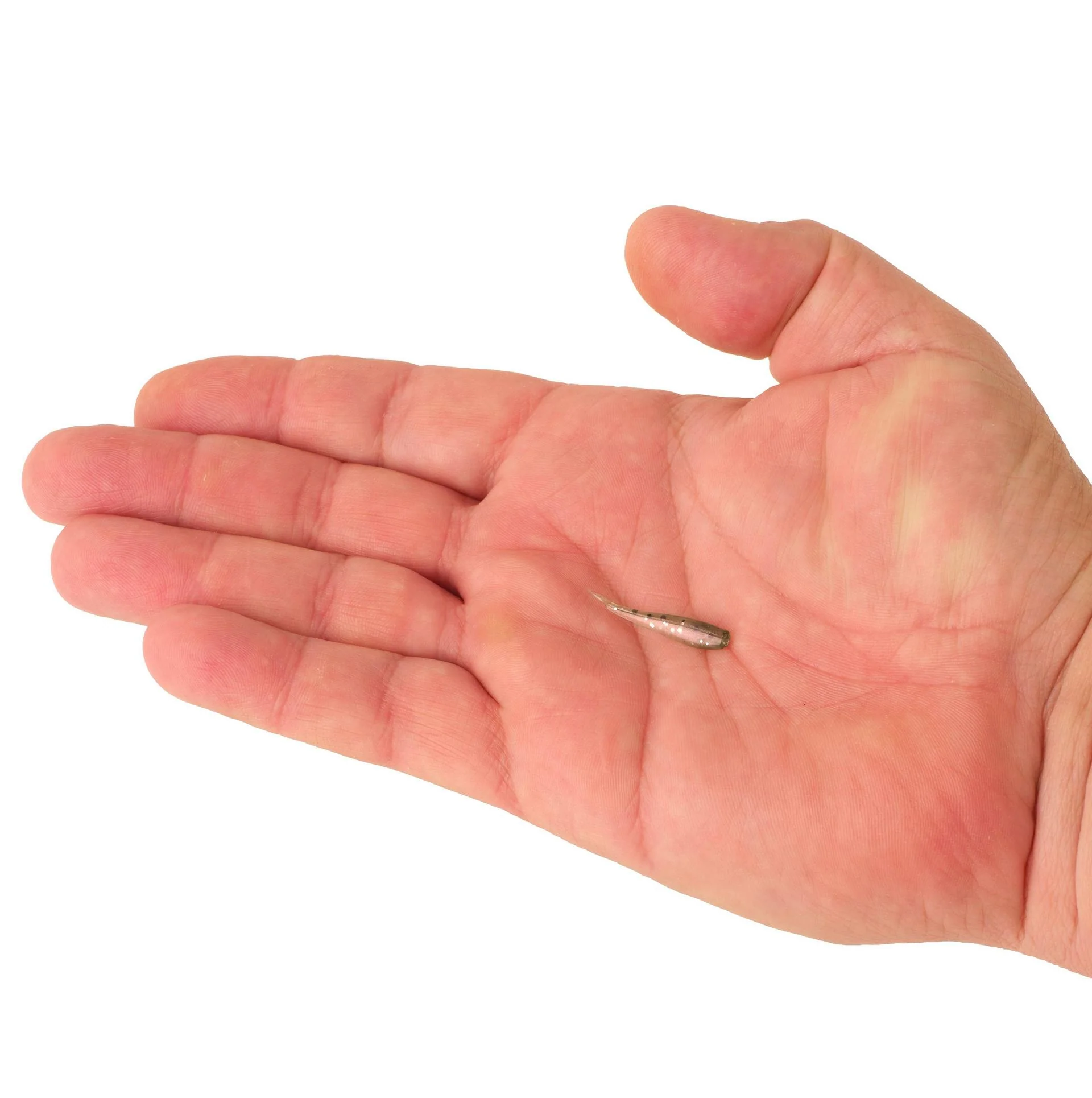 PowerBait® Minnow - Image 51