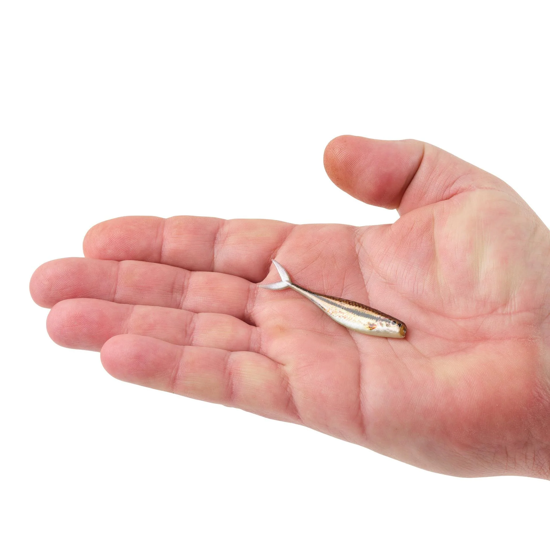 PowerBait® The Champ Minnow - Image 53
