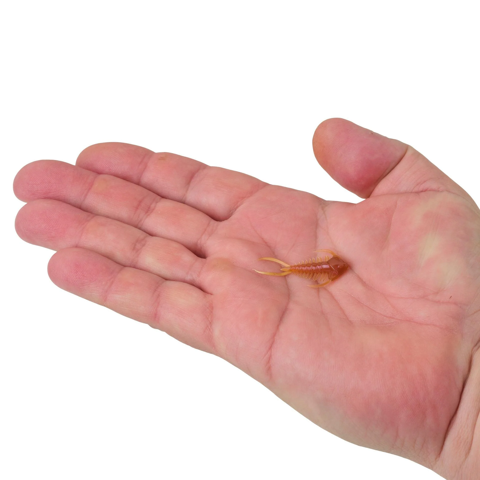 PowerBait® Trilobite - Image 16