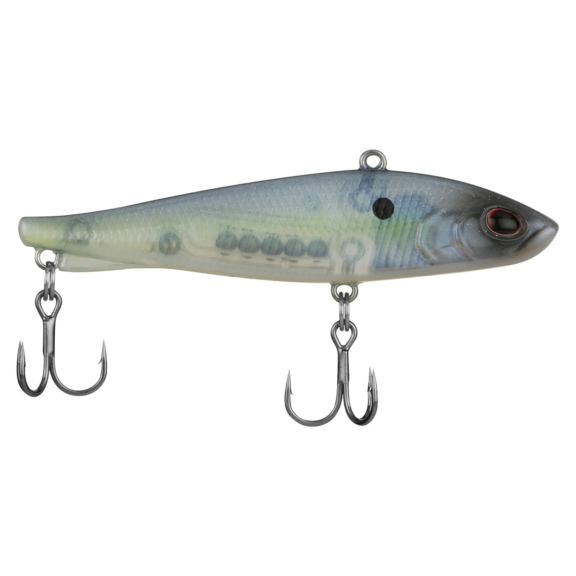 Ripfish - Image 12