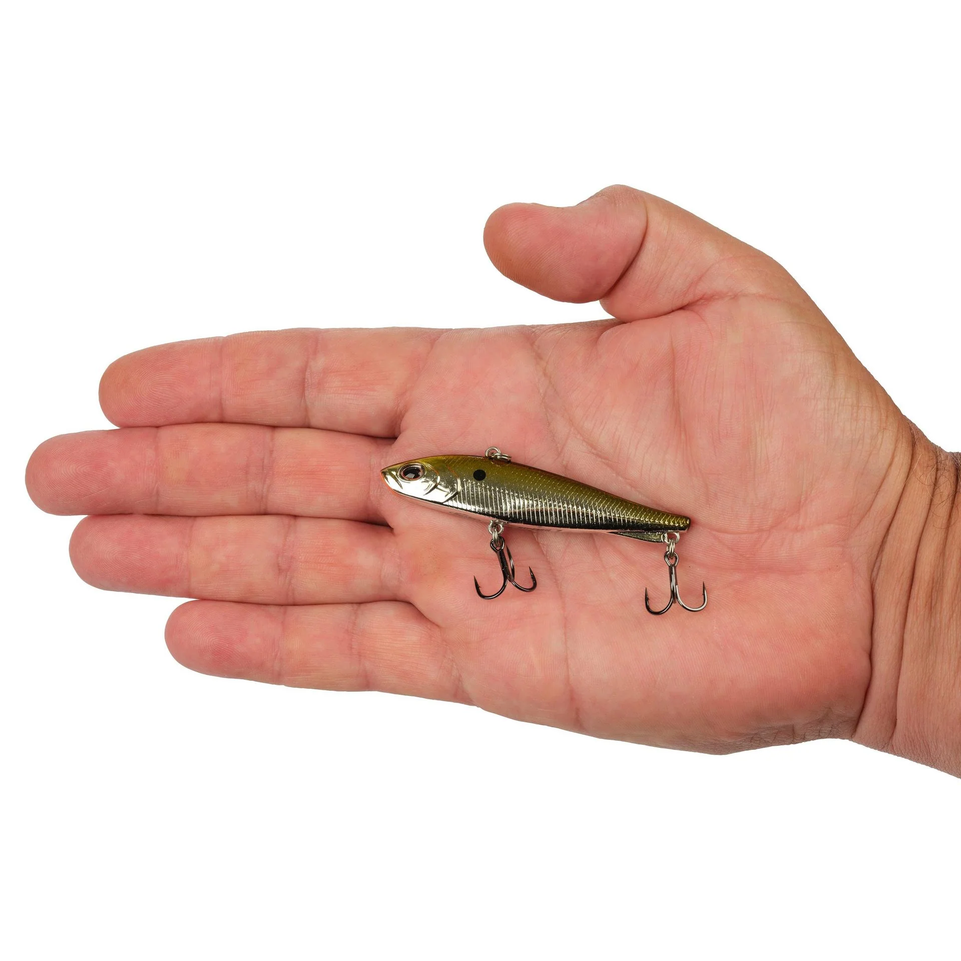 Ripfish - Image 122