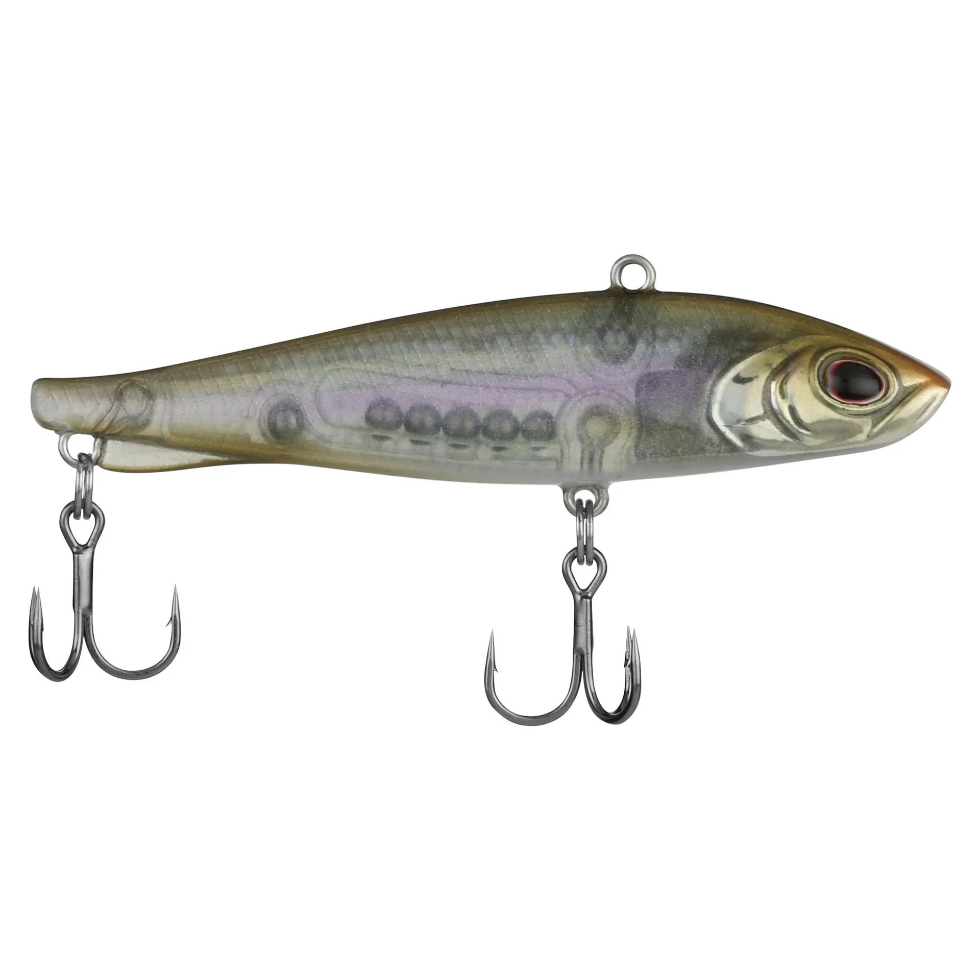 Ripfish - Image 13