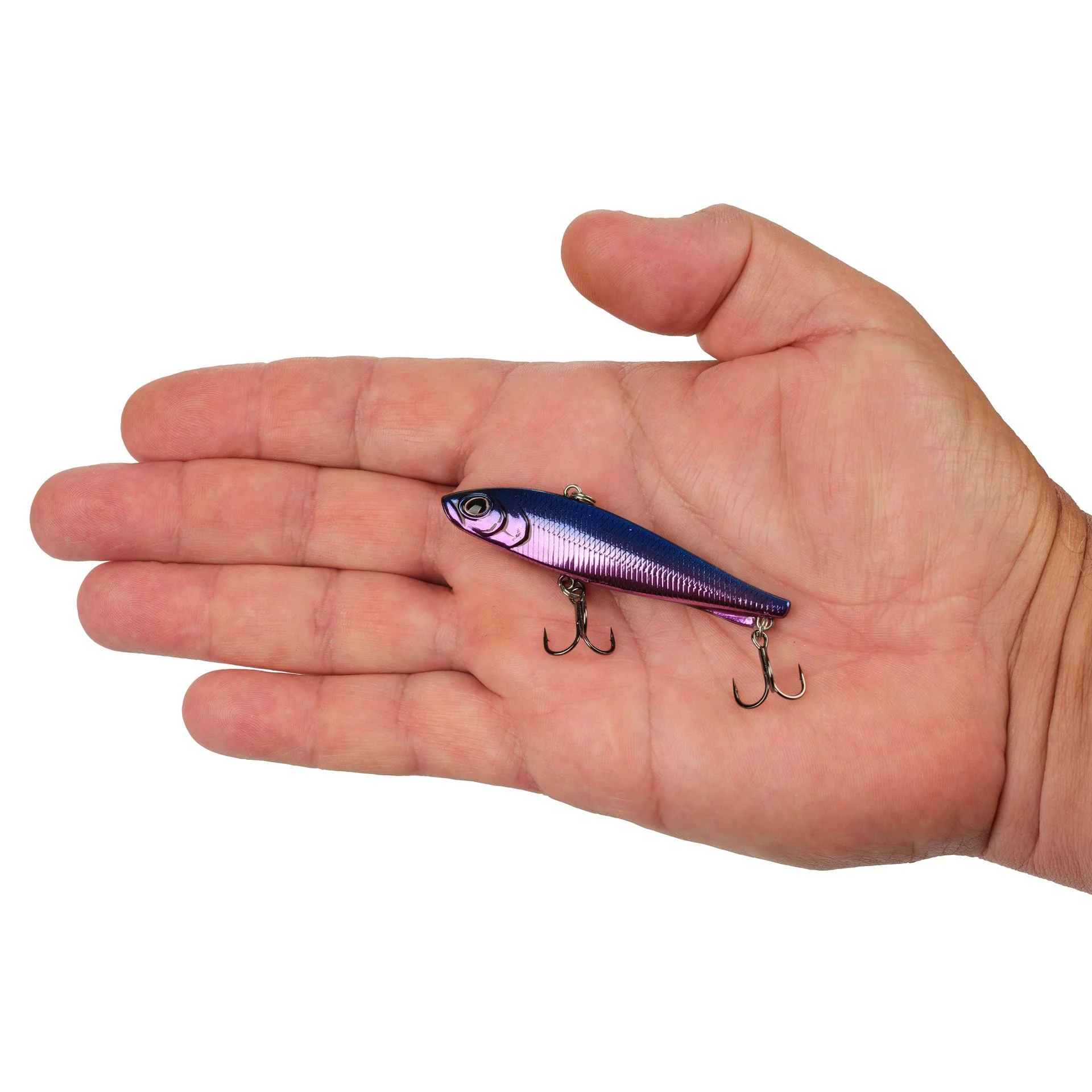 Ripfish - Image 131