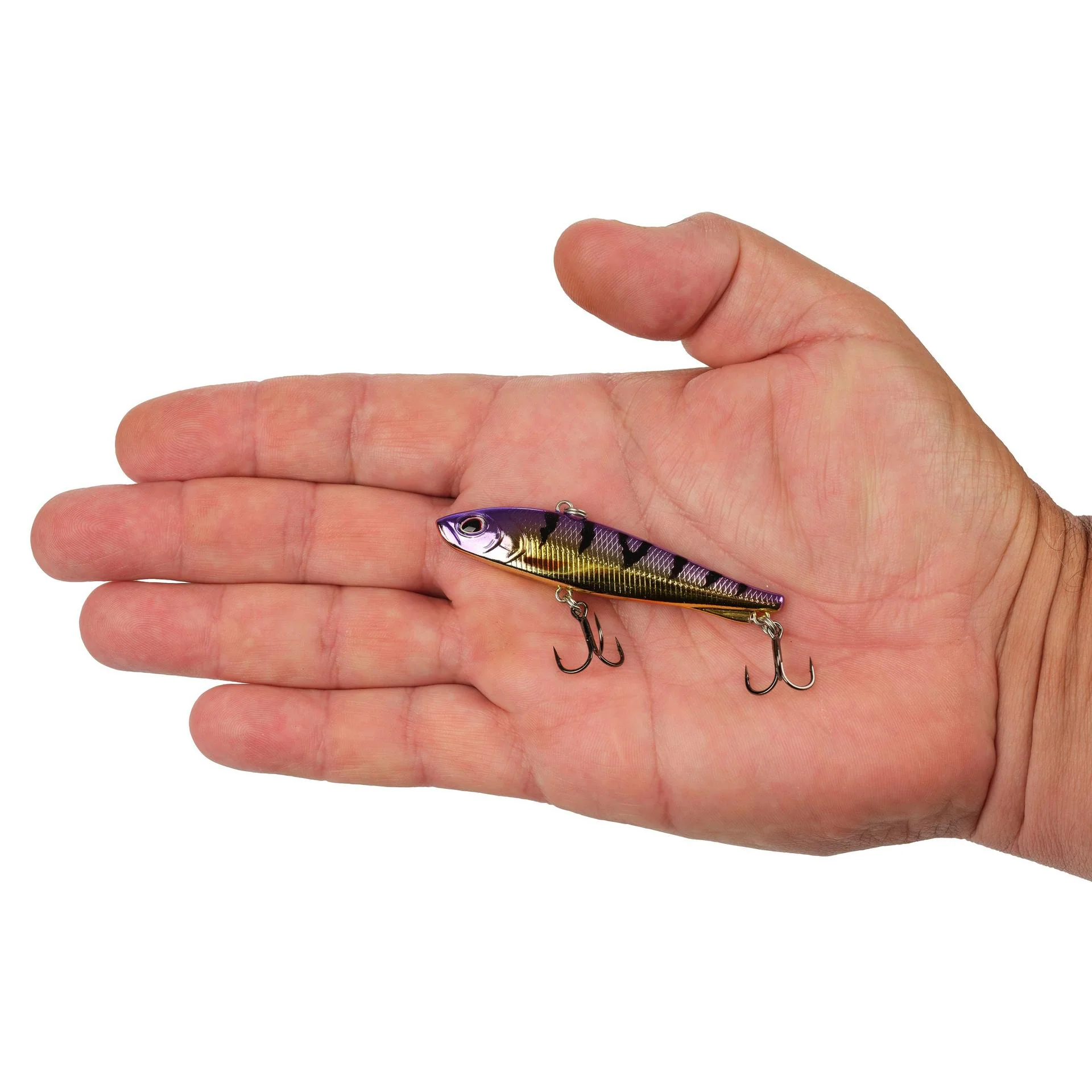 Ripfish - Image 140