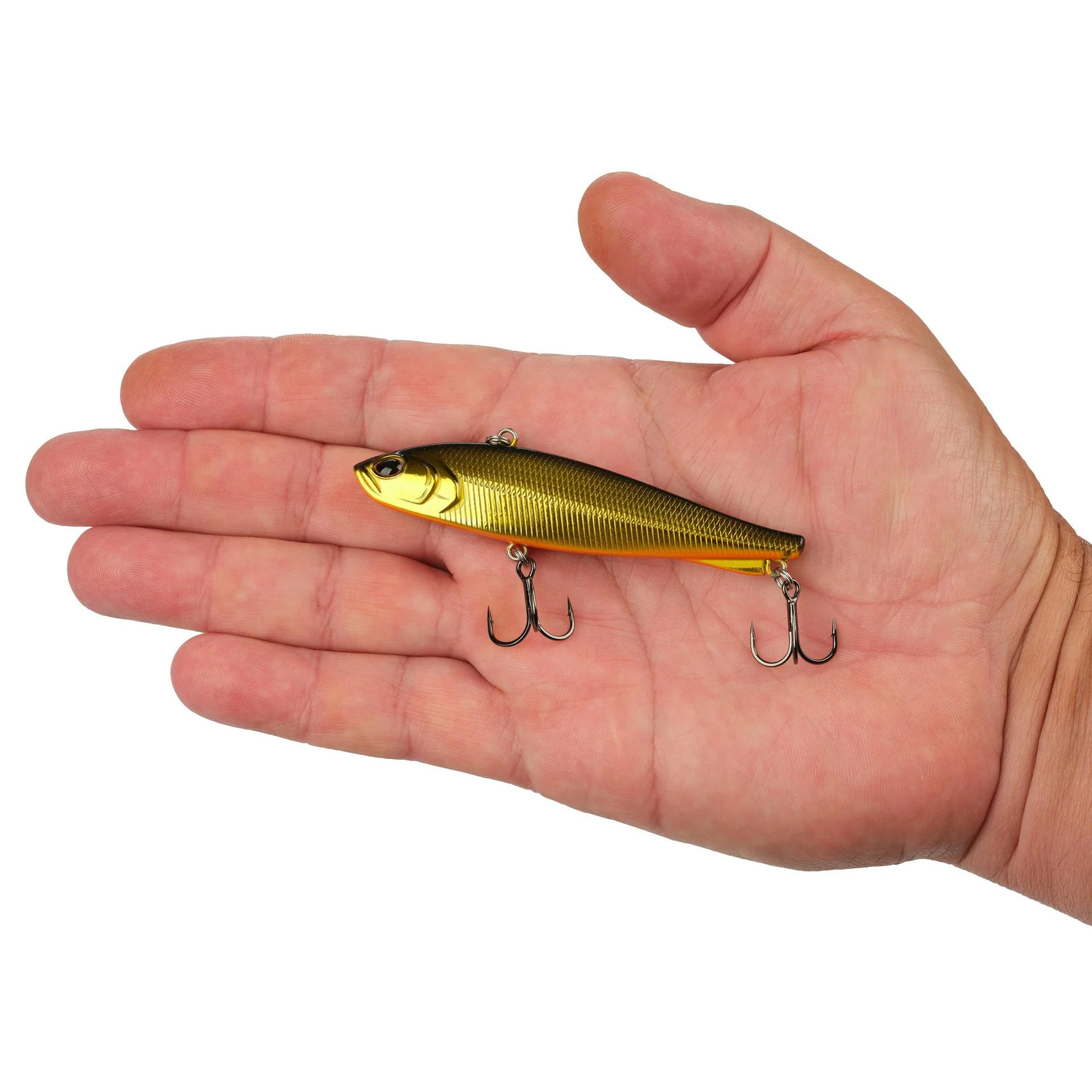 Ripfish - Image 147