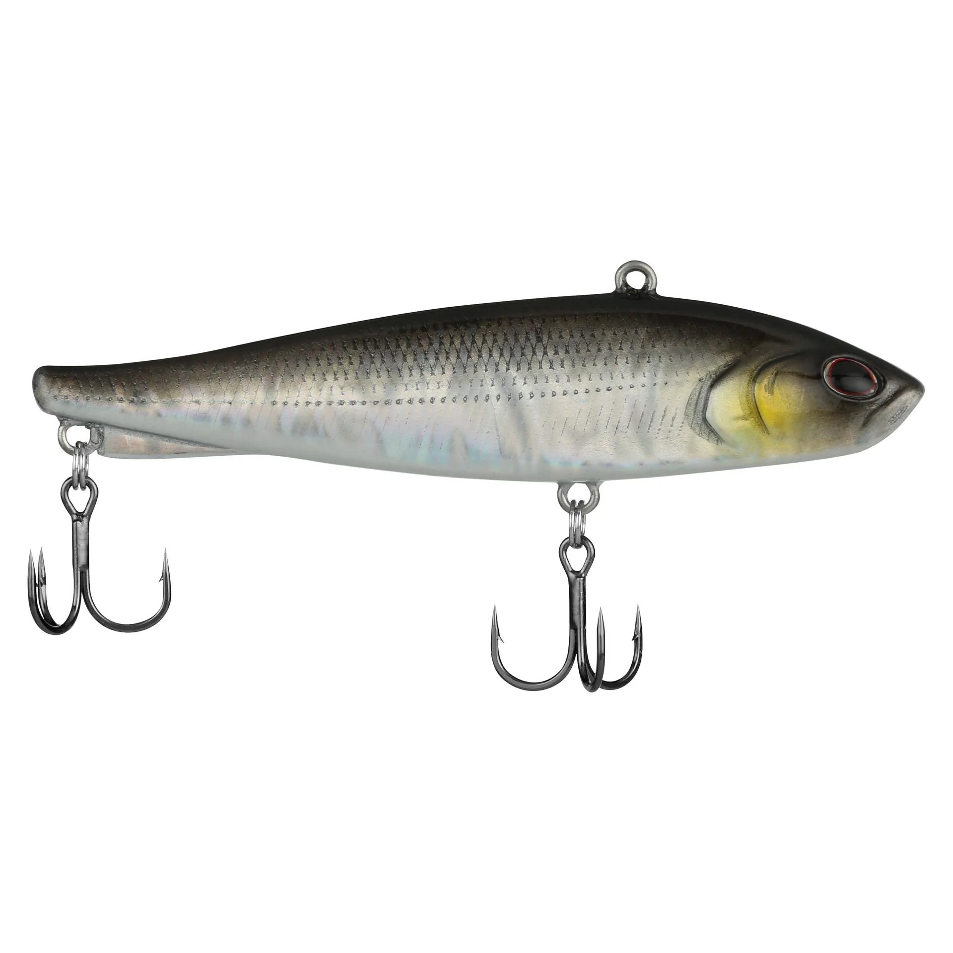 Ripfish - Image 149
