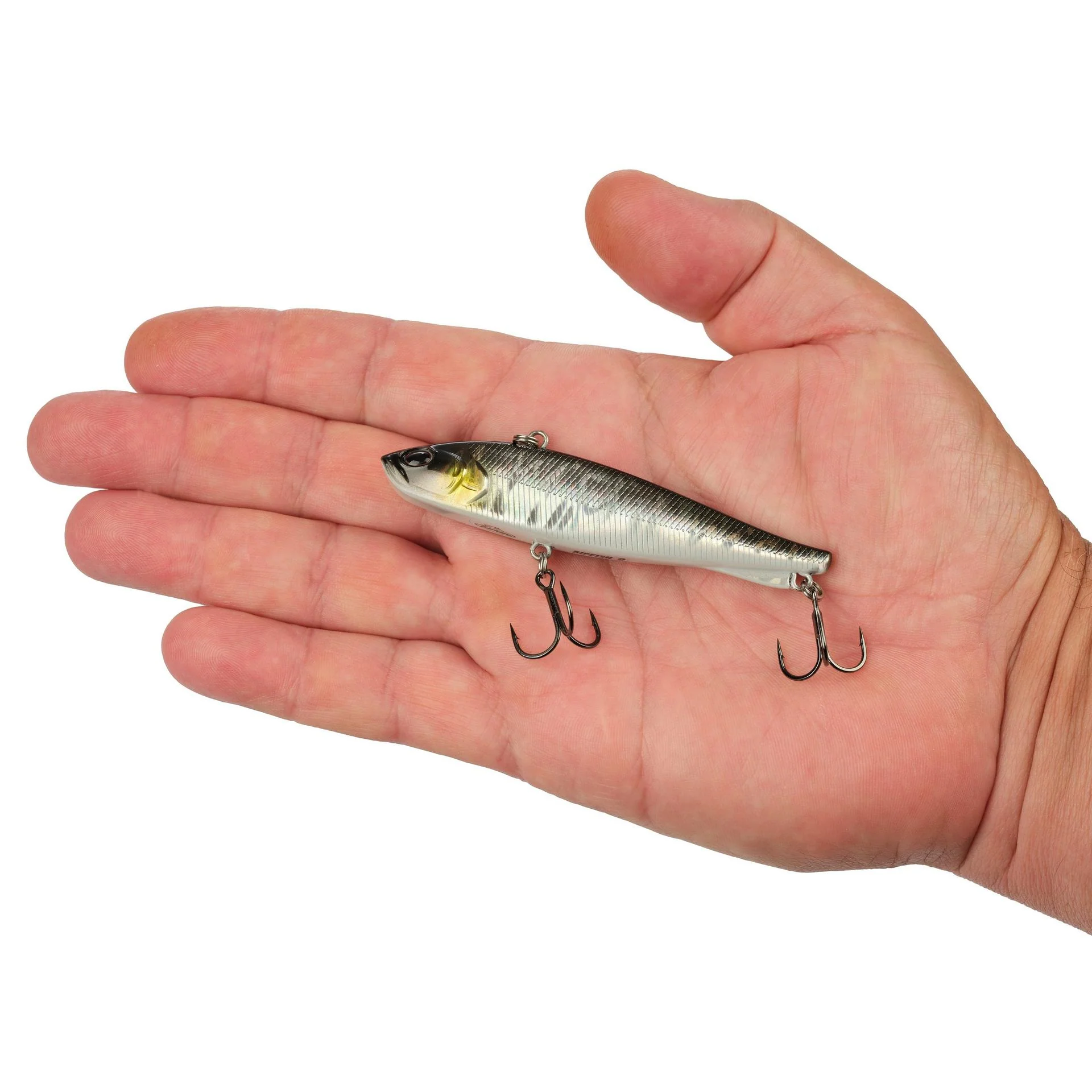 Ripfish - Image 151