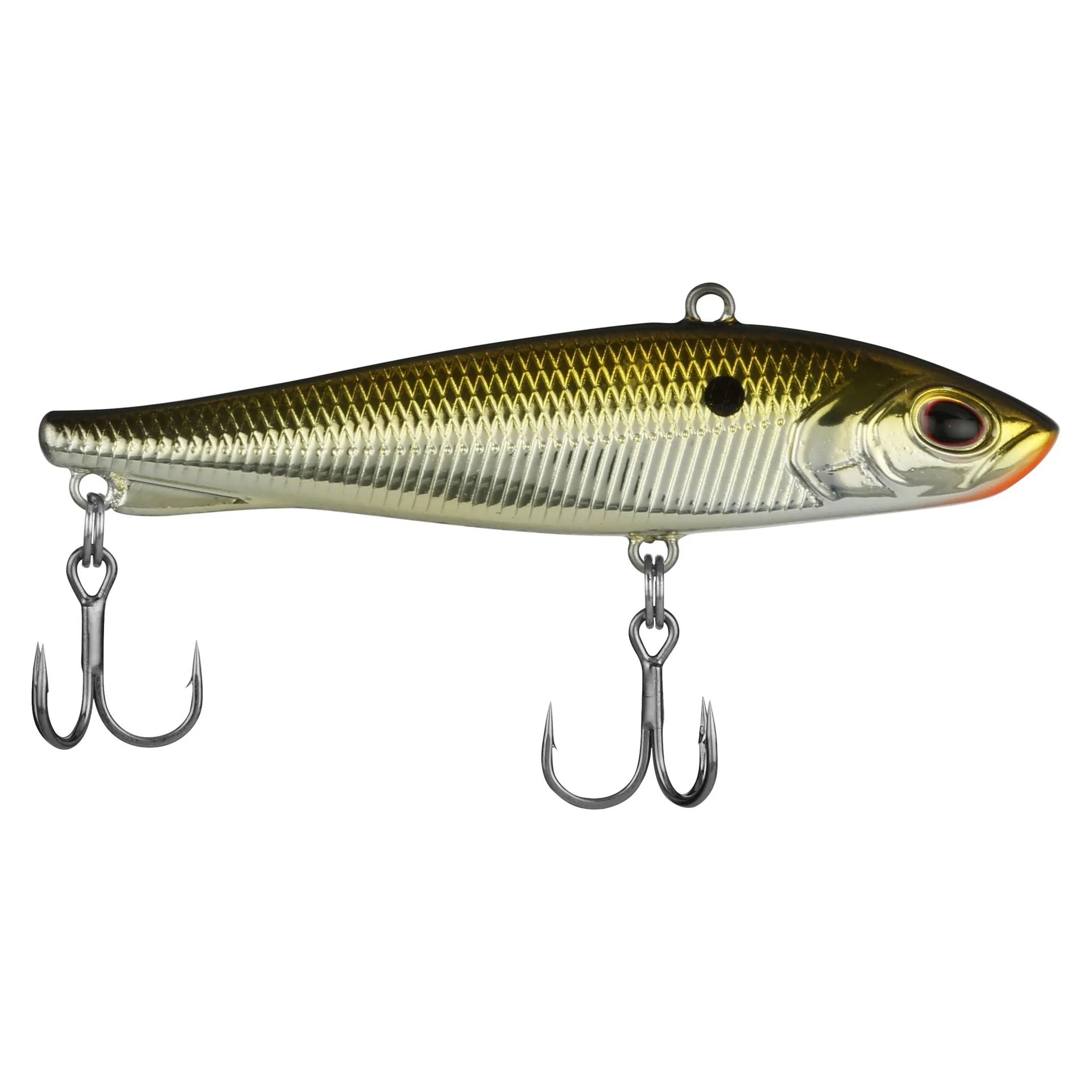 Ripfish - Image 17