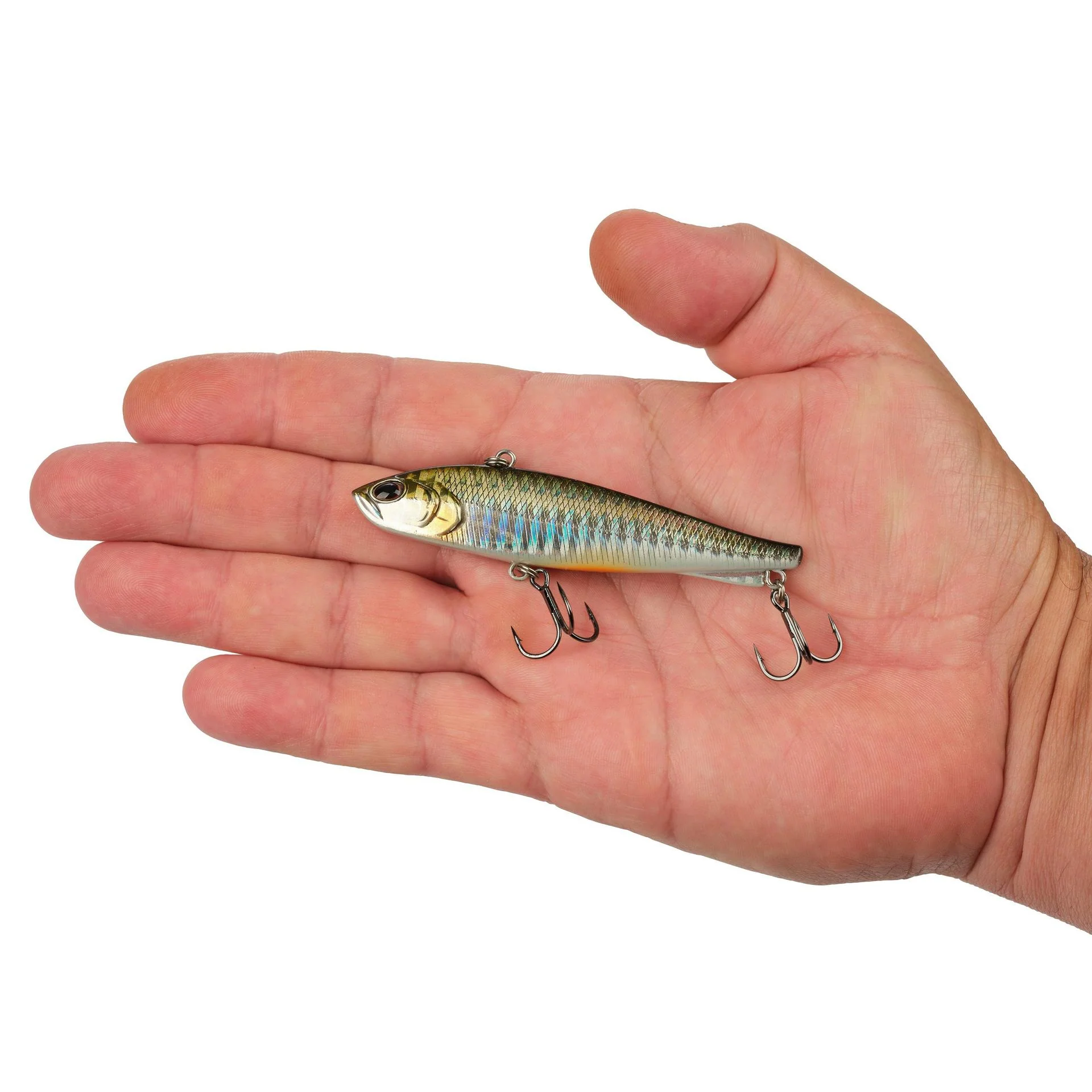 Ripfish - Image 171