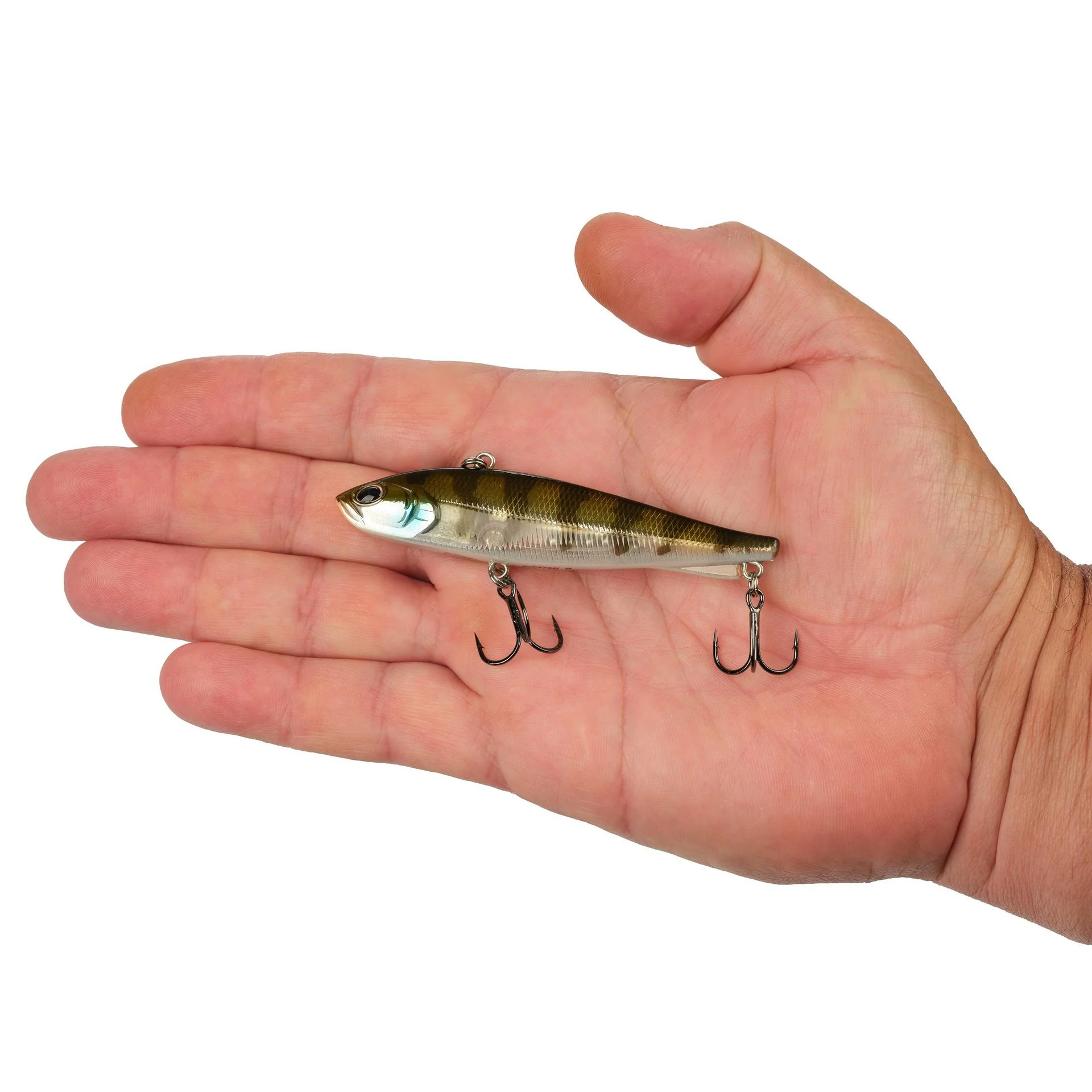 Ripfish - Image 187