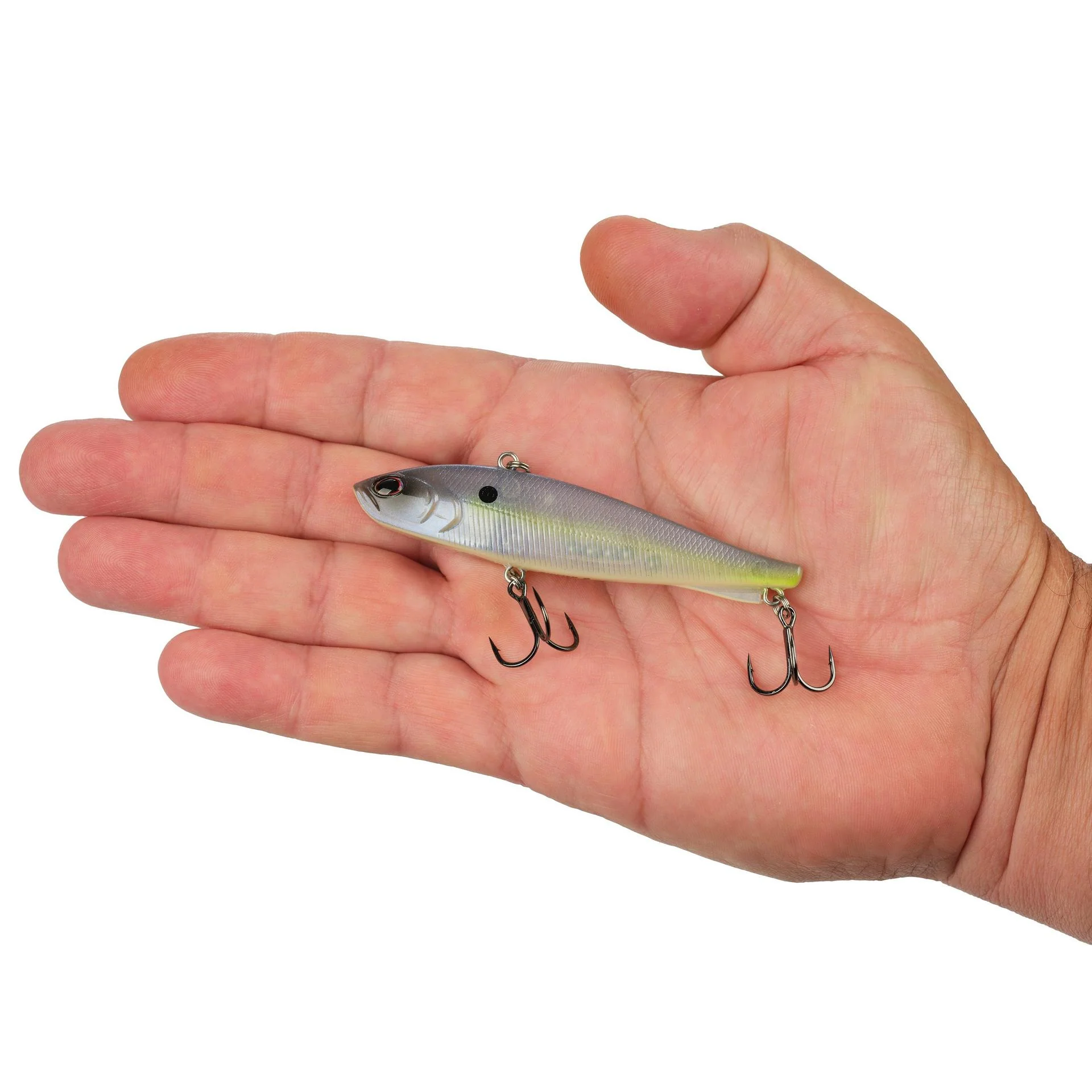 Ripfish - Image 191