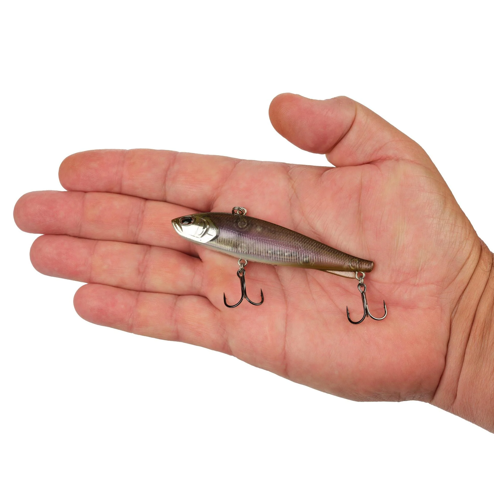 Ripfish - Image 195