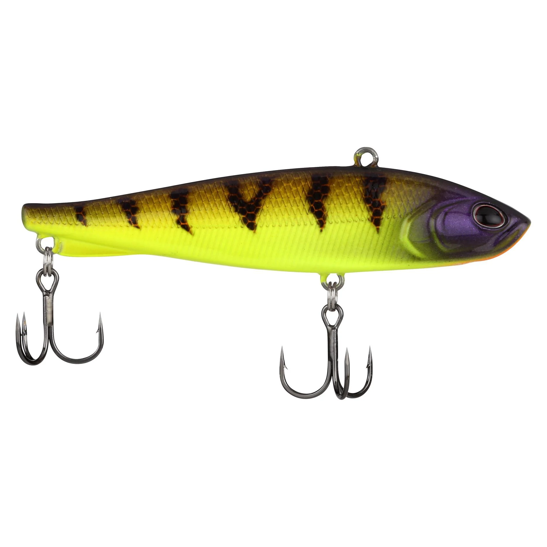 Ripfish - Image 201
