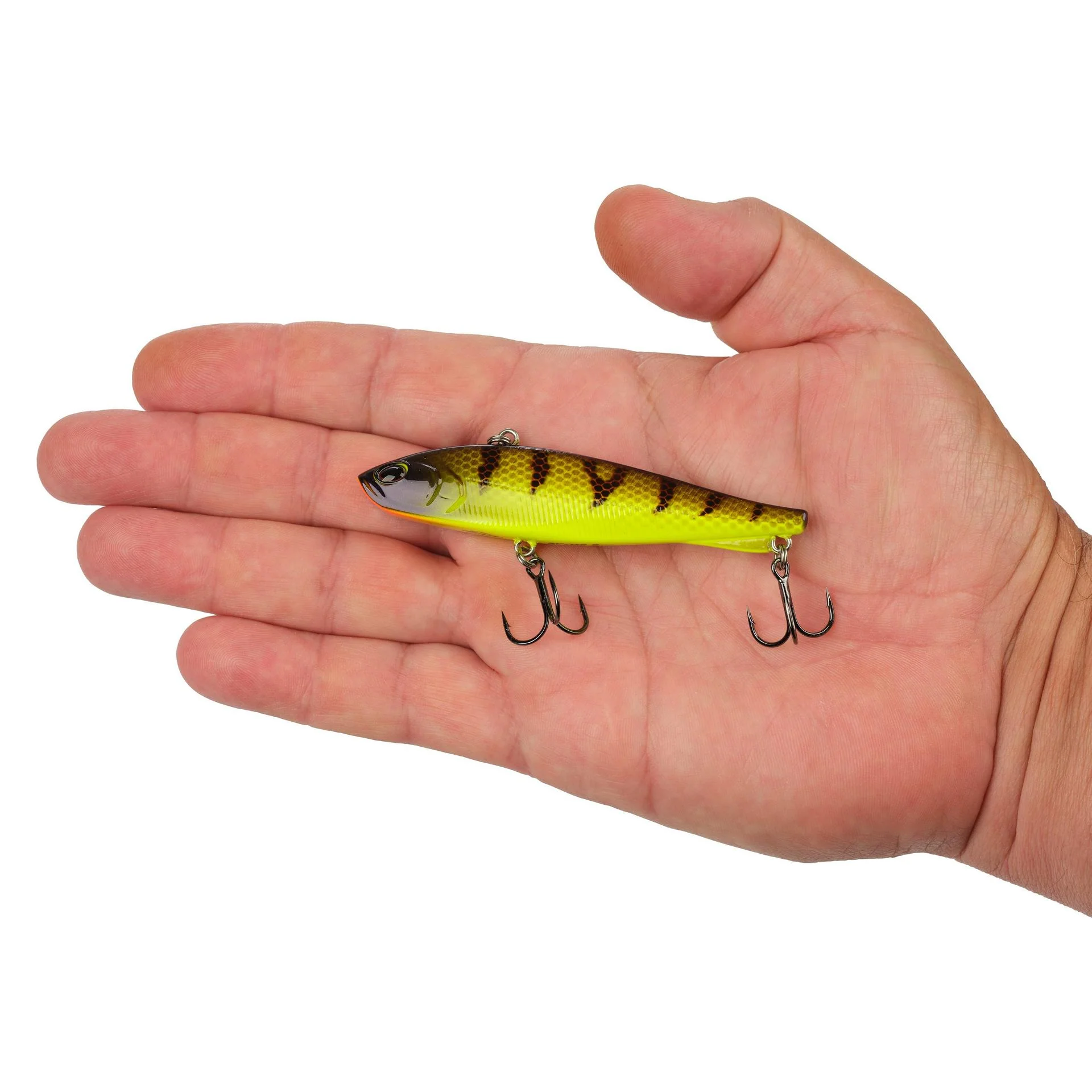 Ripfish - Image 203
