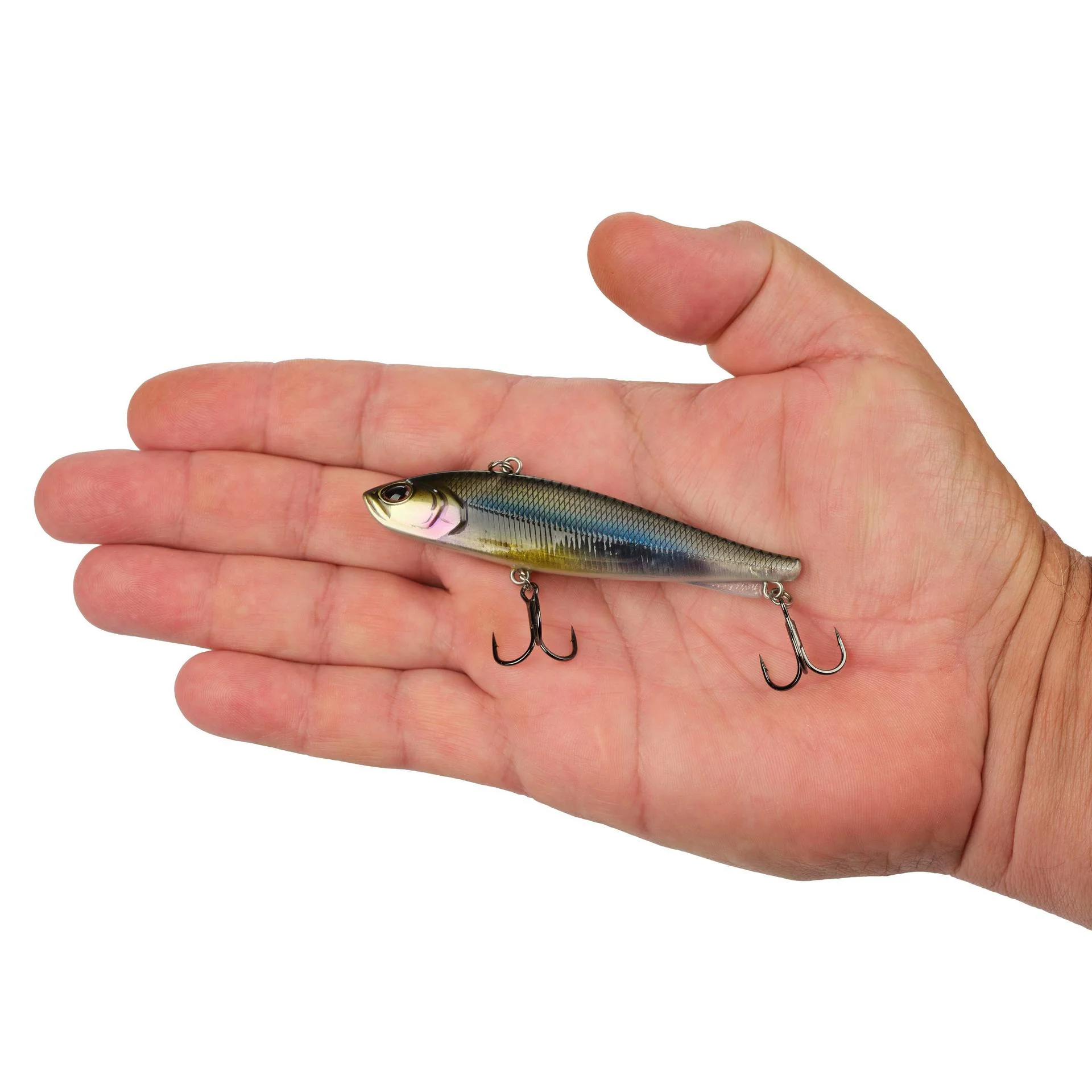 Ripfish - Image 207