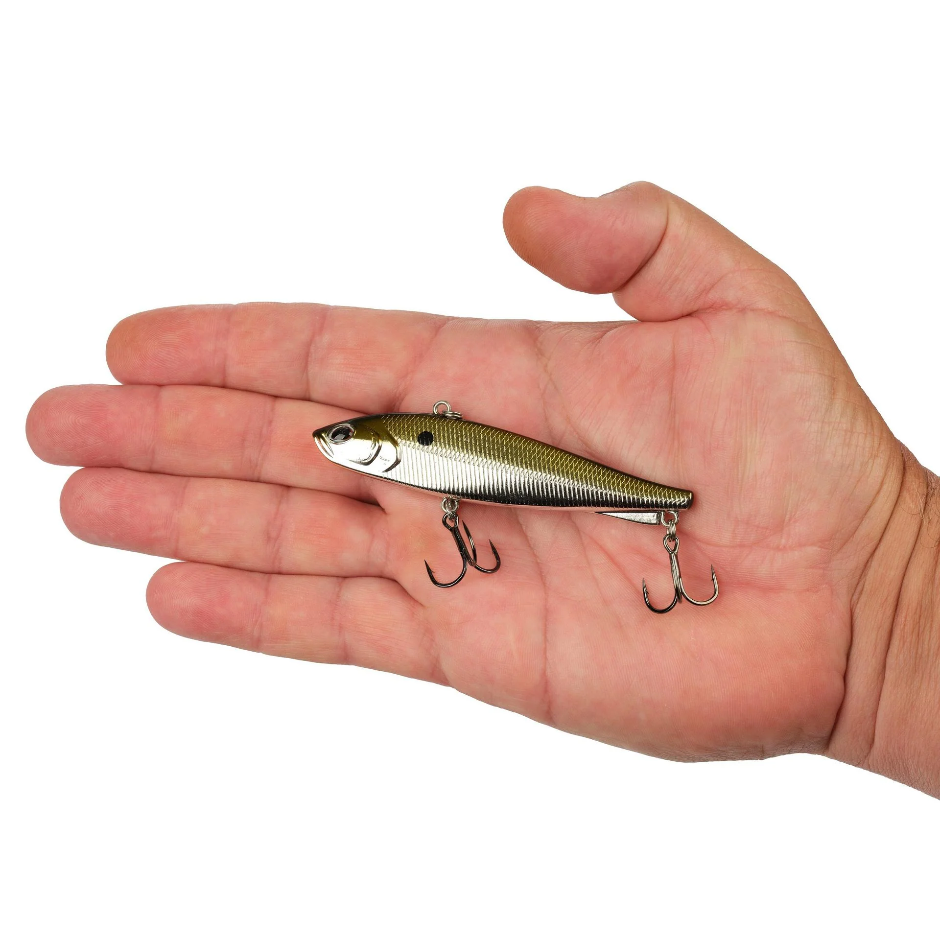 Ripfish - Image 211