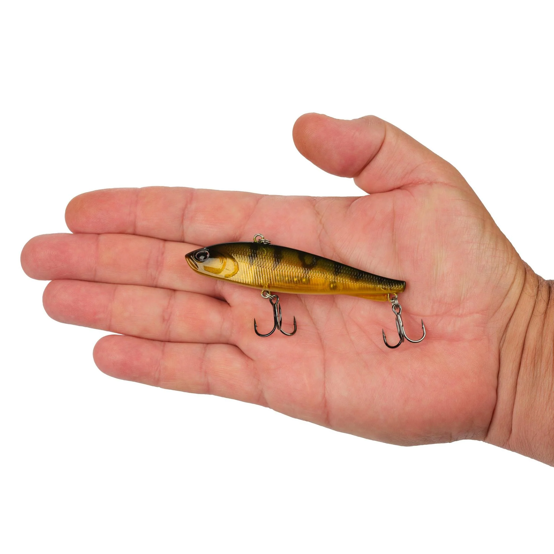 Ripfish - Image 215