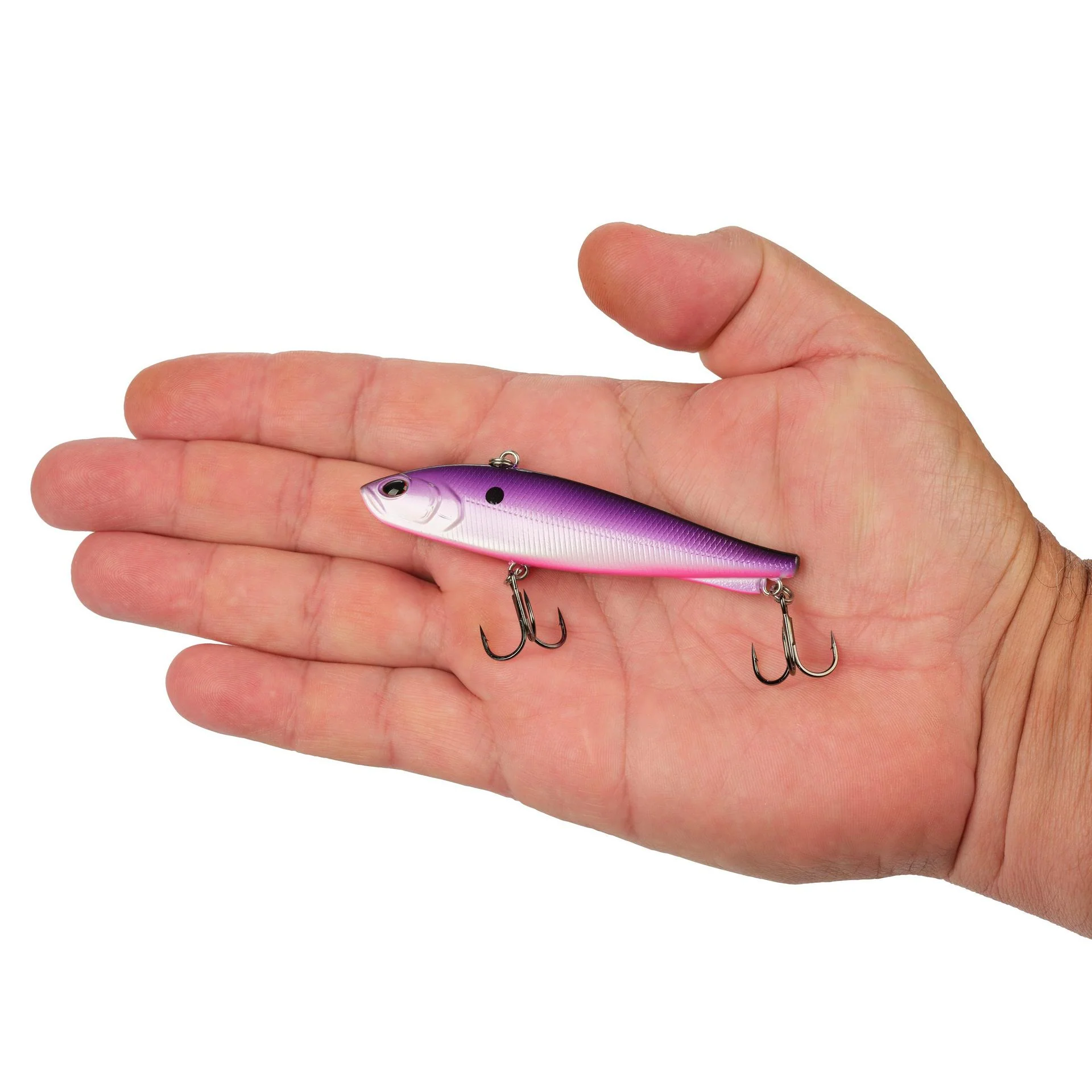 Ripfish - Image 219