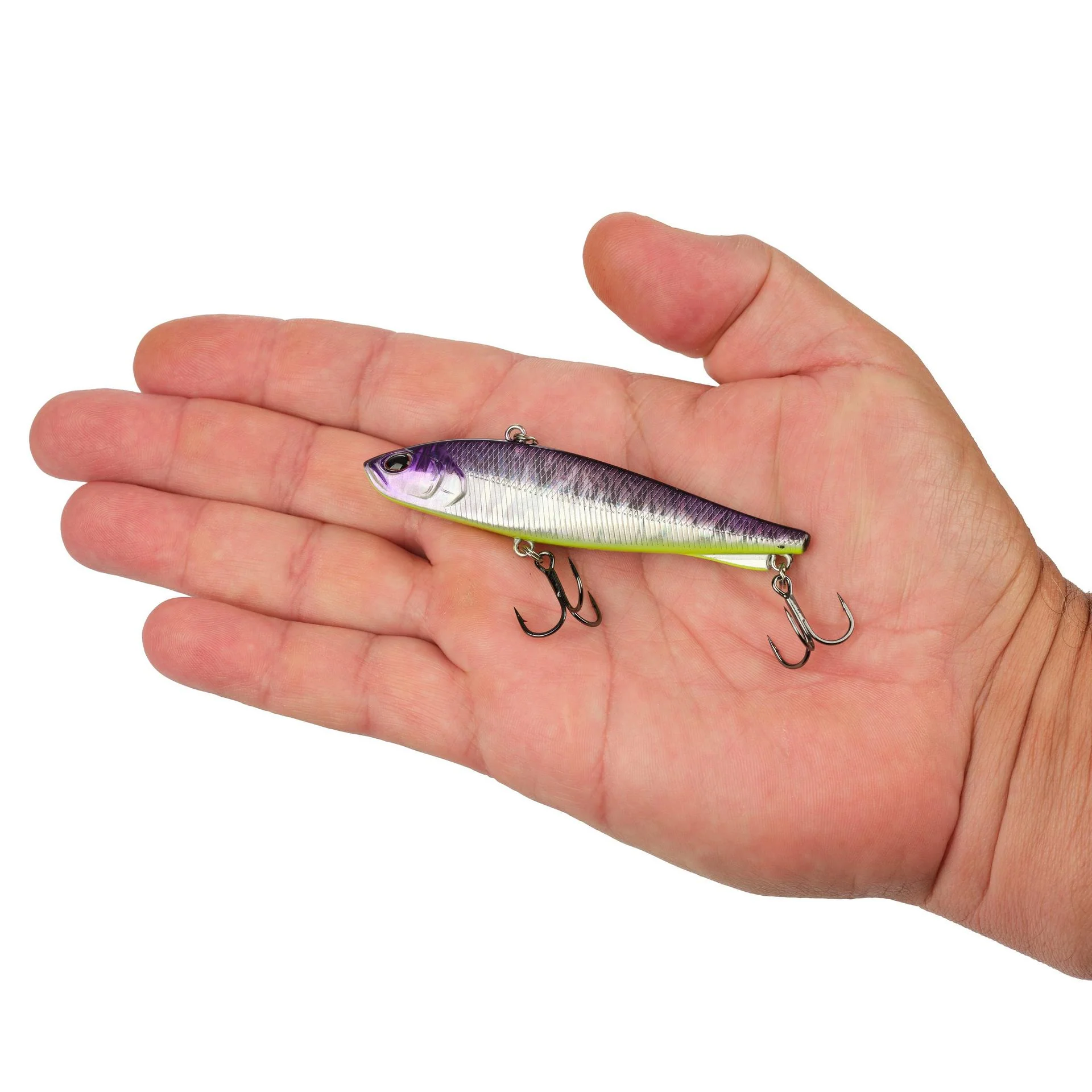 Ripfish - Image 227