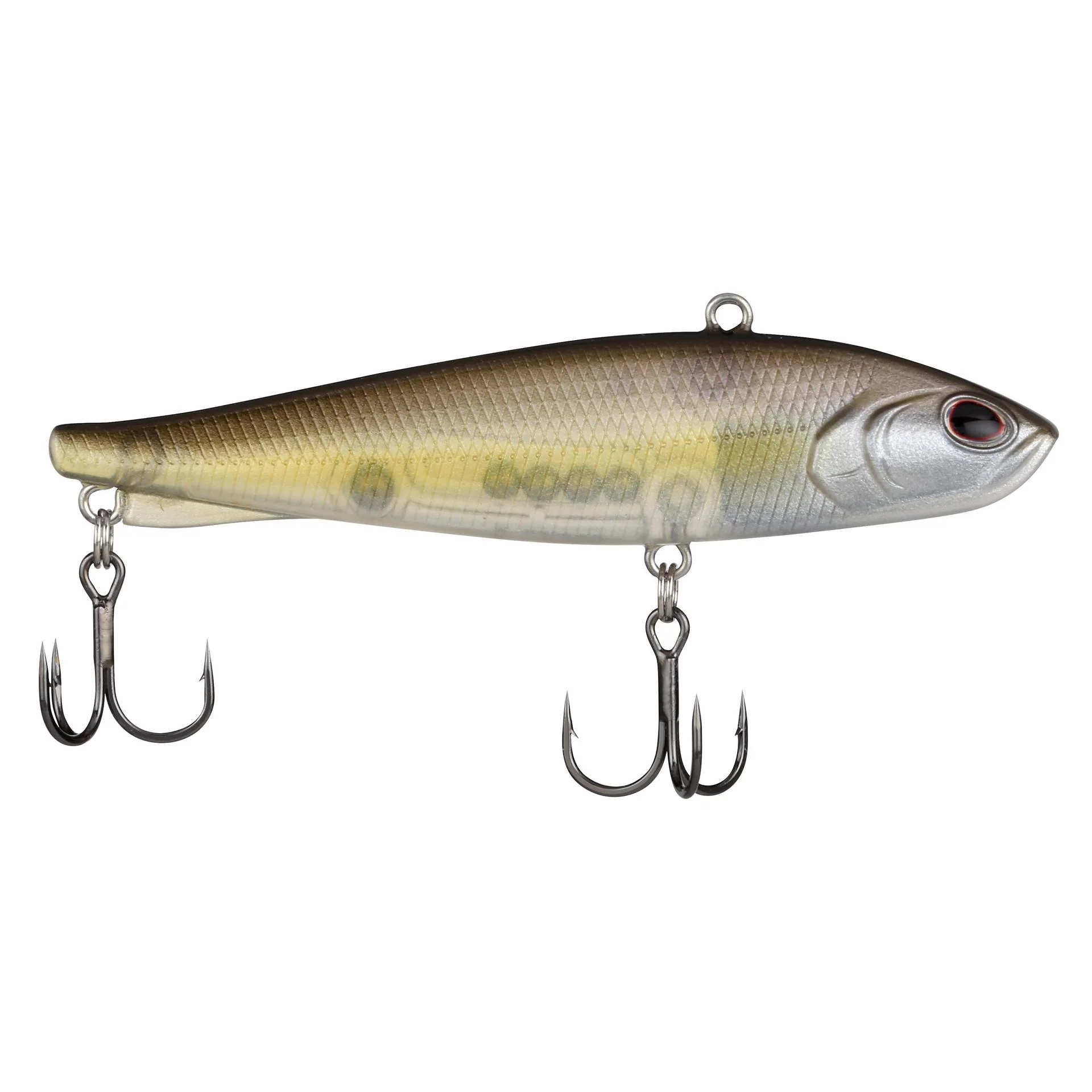 Ripfish - Image 229