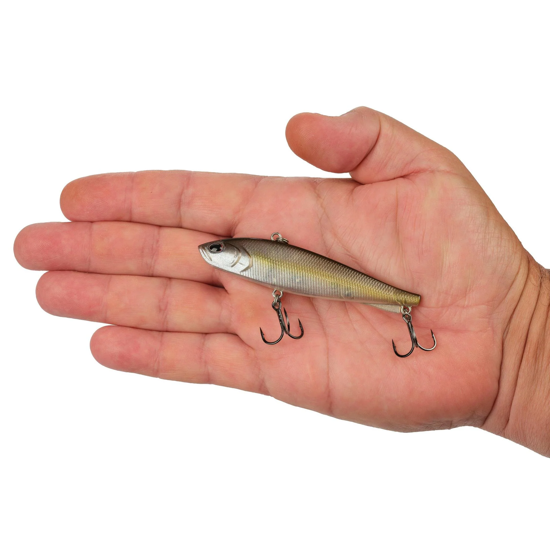 Ripfish - Image 231