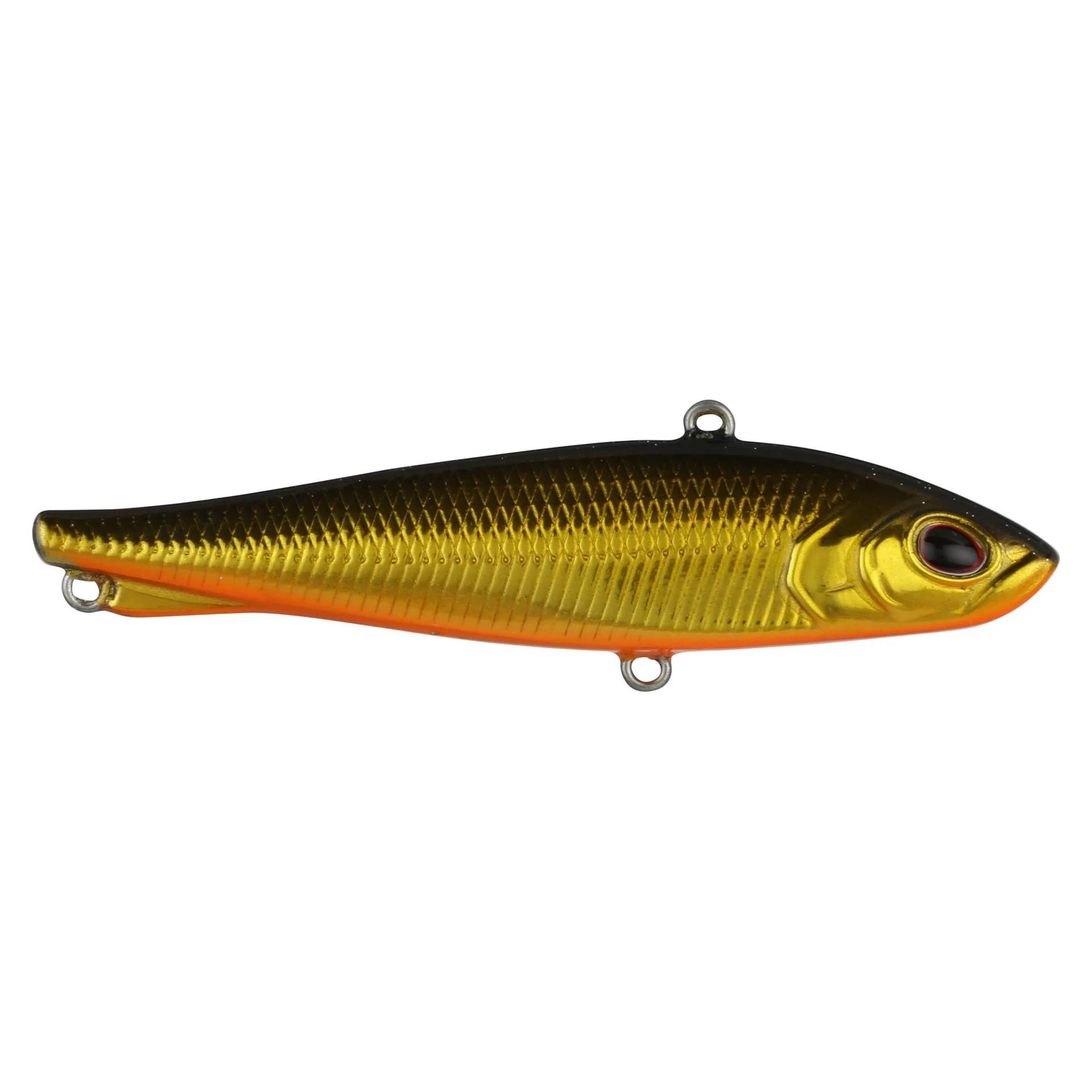 Ripfish - Image 25
