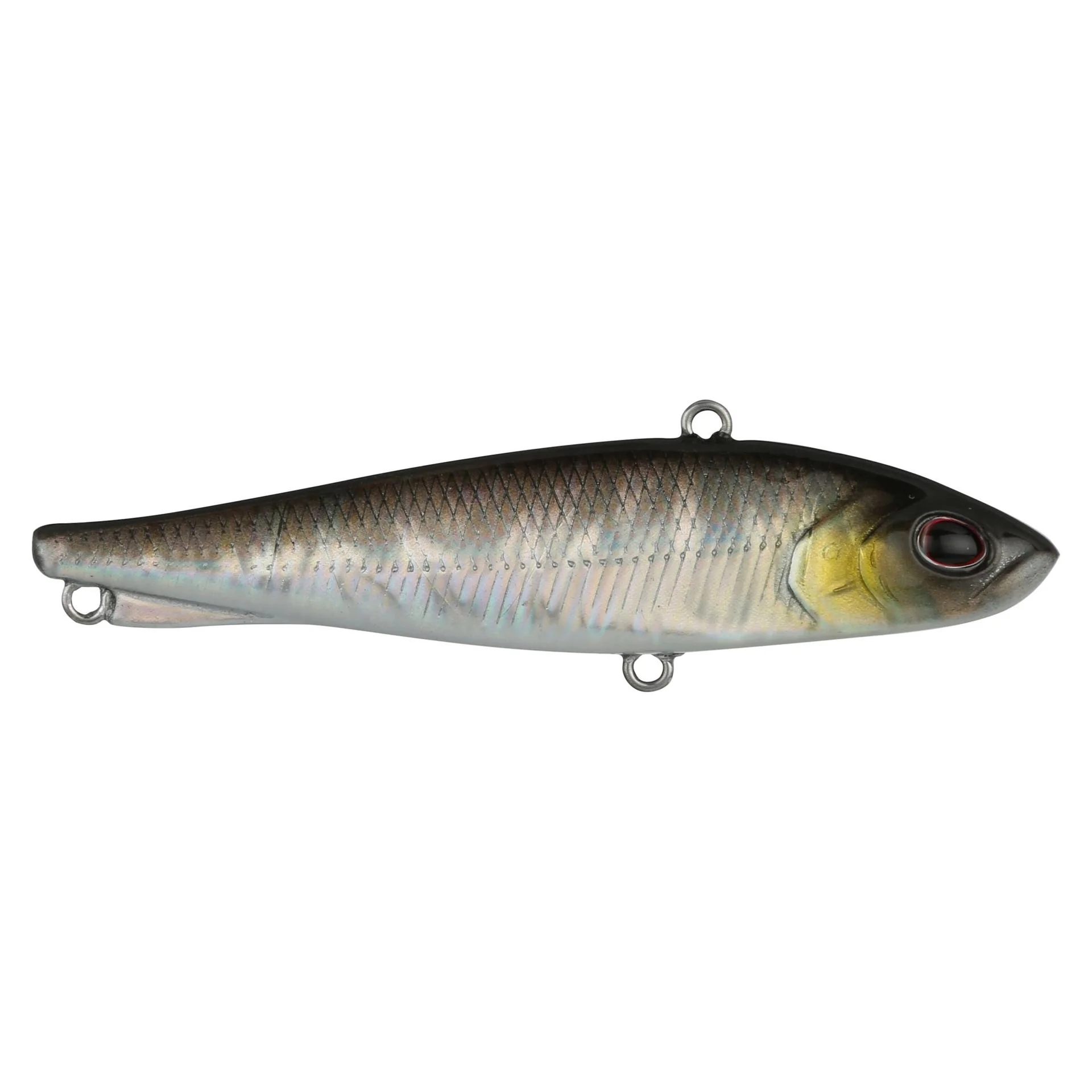 Ripfish - Image 26