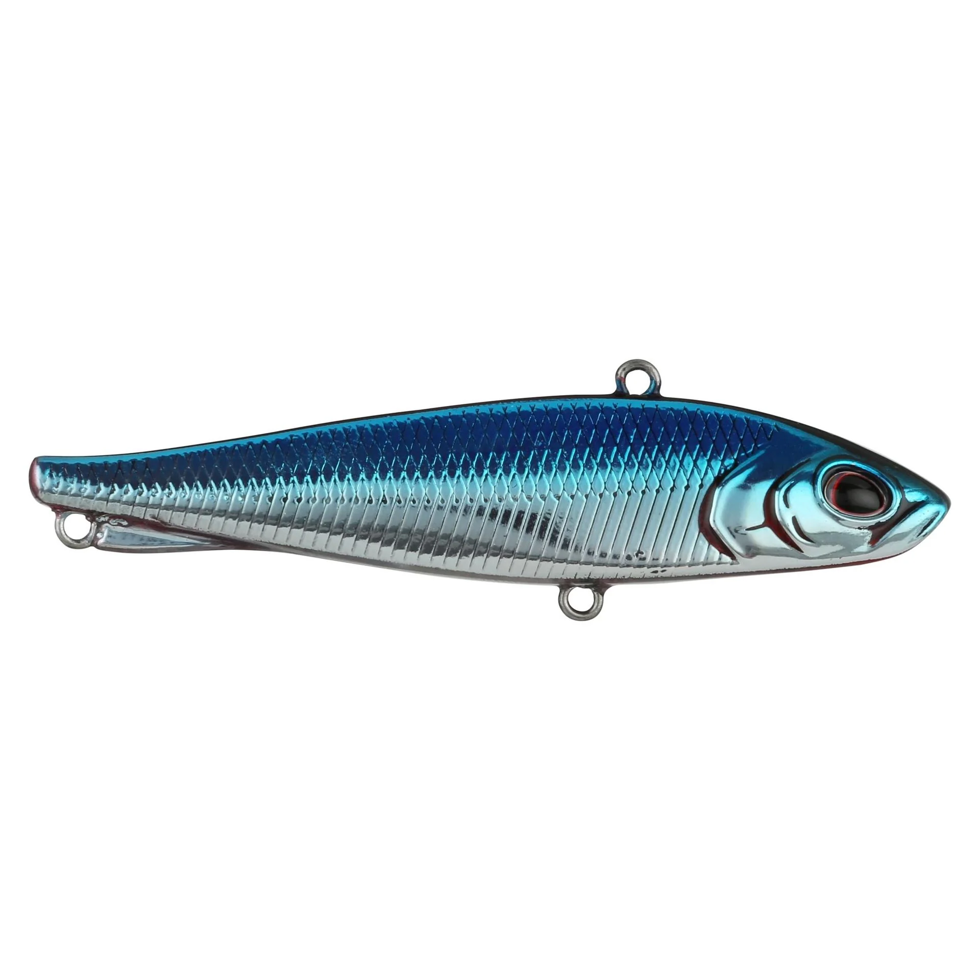 Ripfish - Image 27