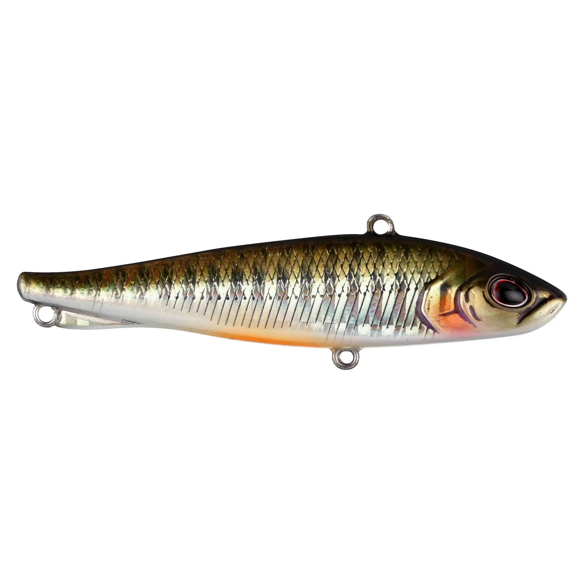 Ripfish - Image 31
