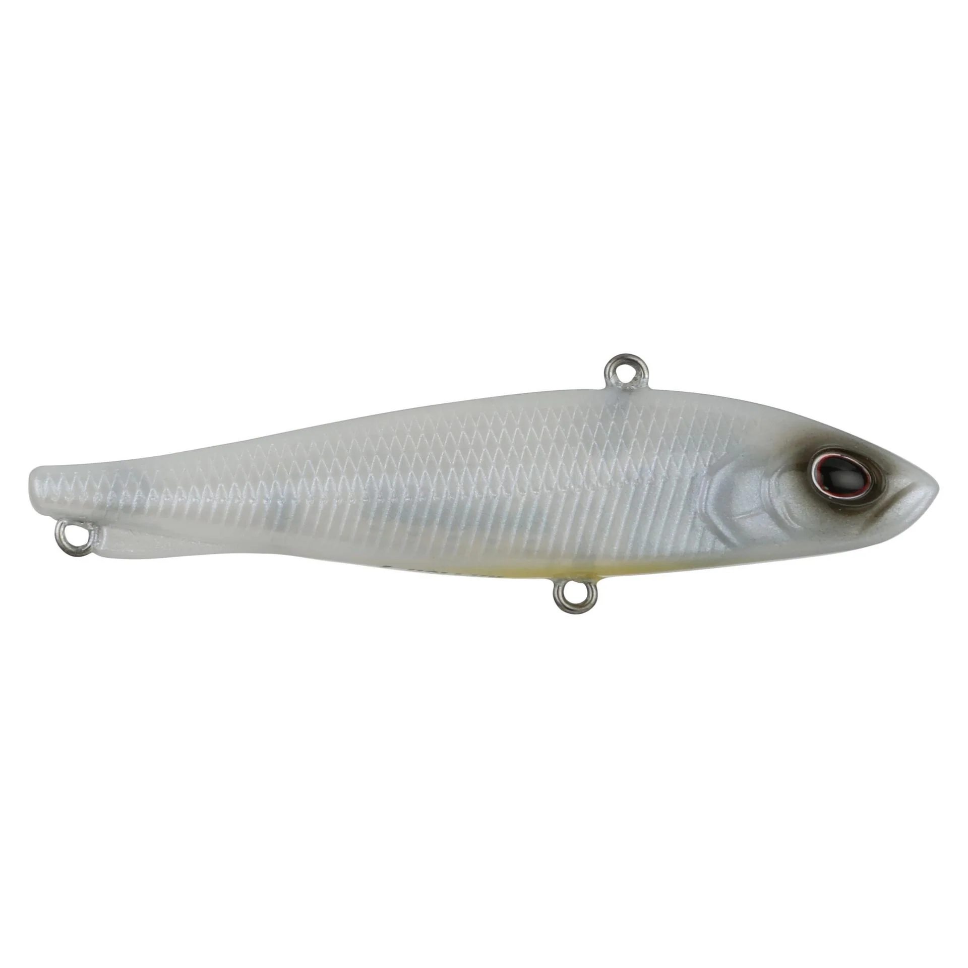 Ripfish - Image 34