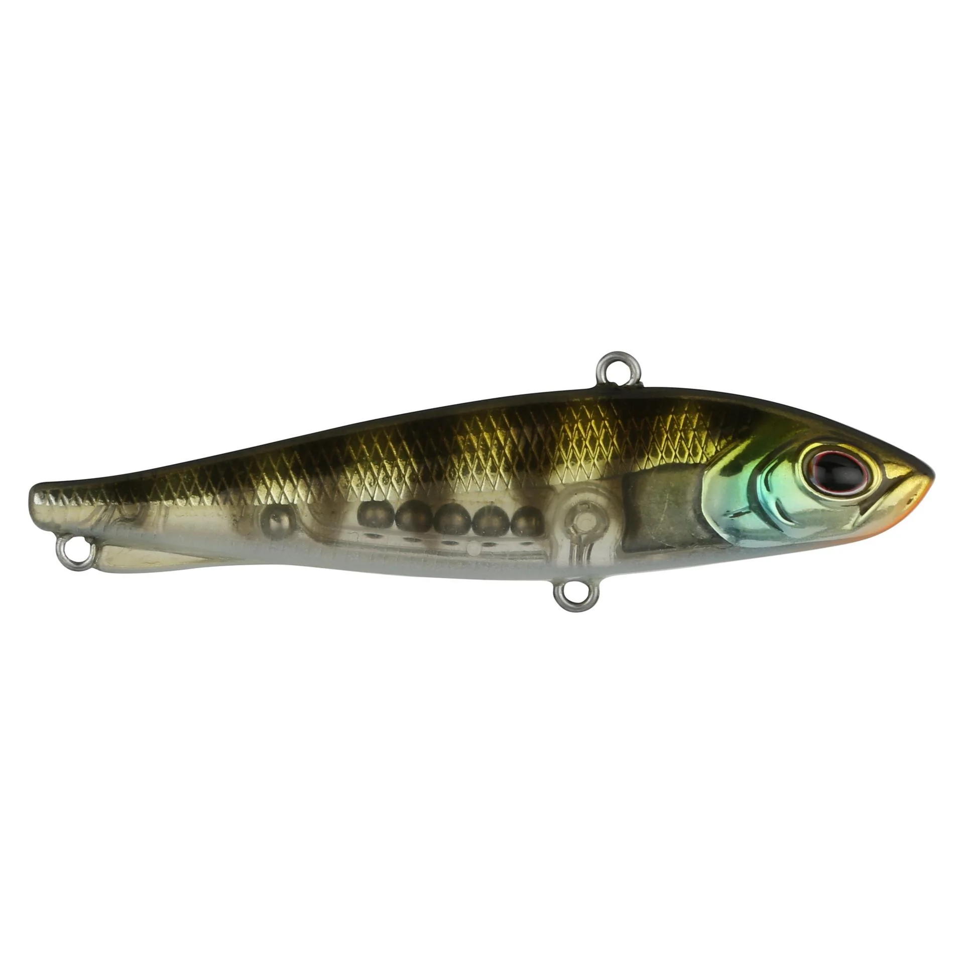 Ripfish - Image 35