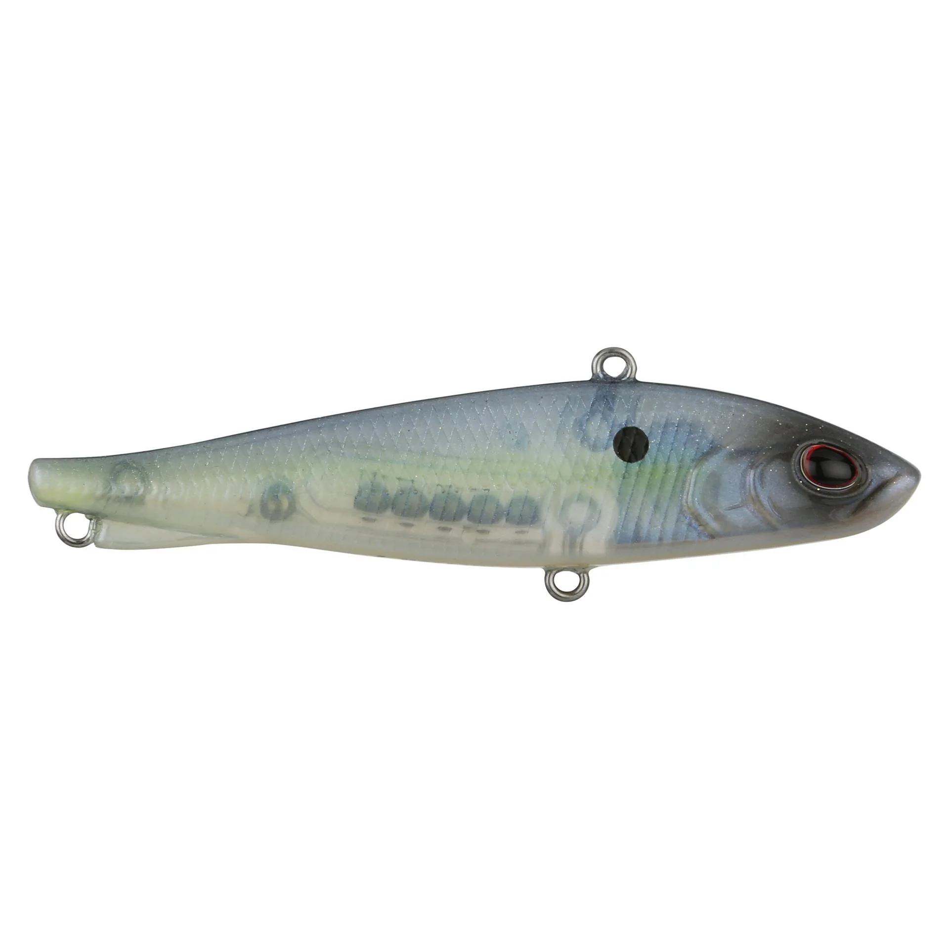 Ripfish - Image 36