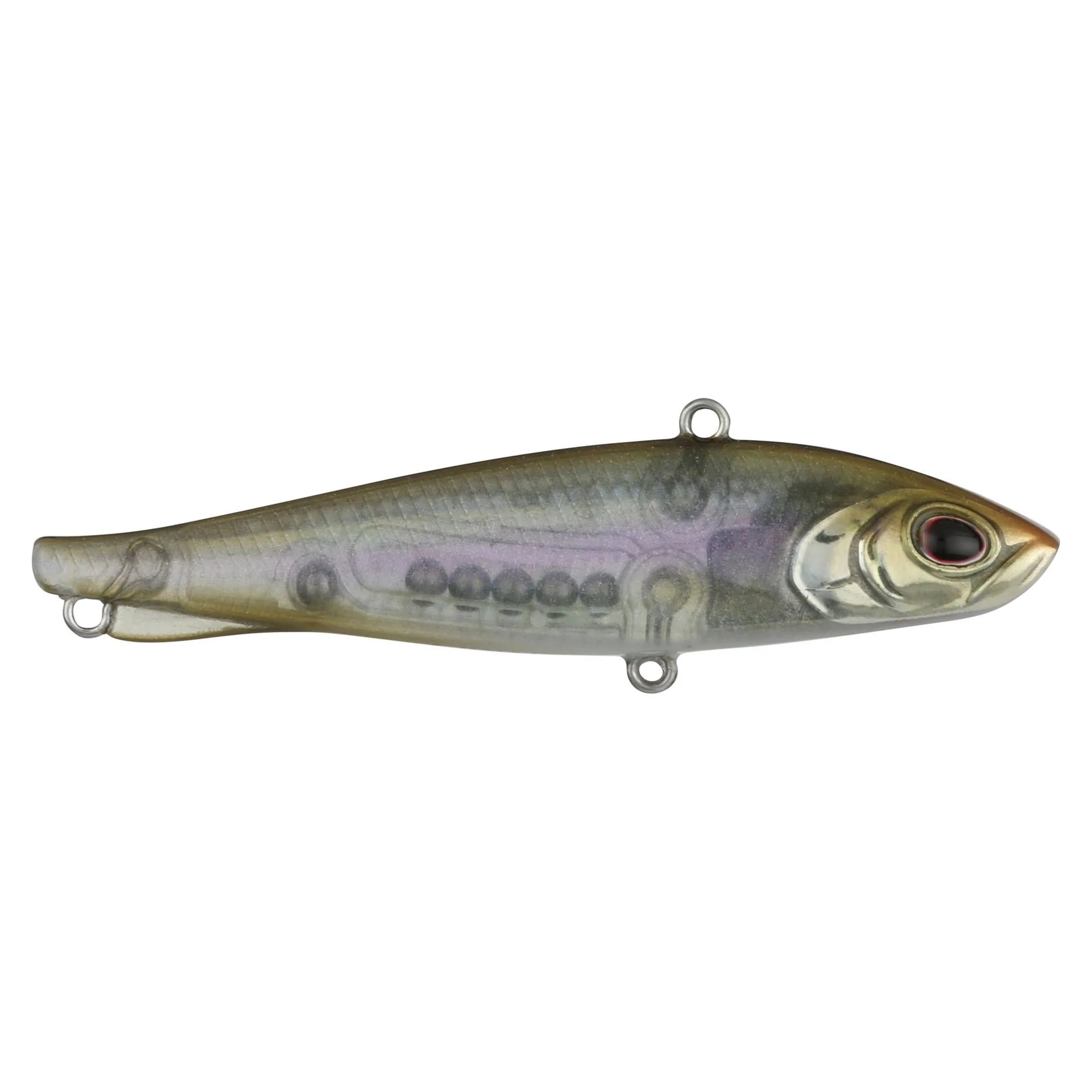 Ripfish - Image 37