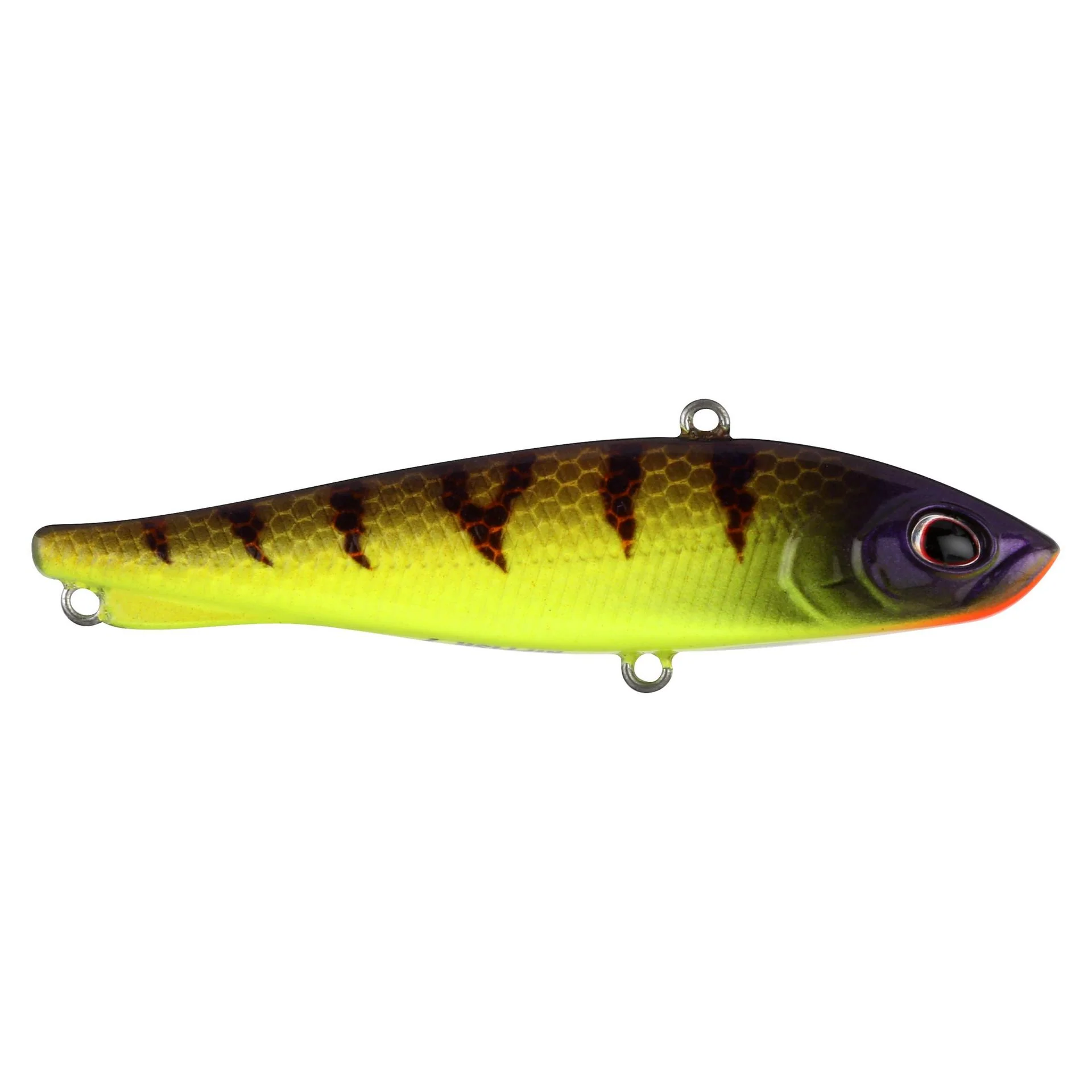 Ripfish - Image 39