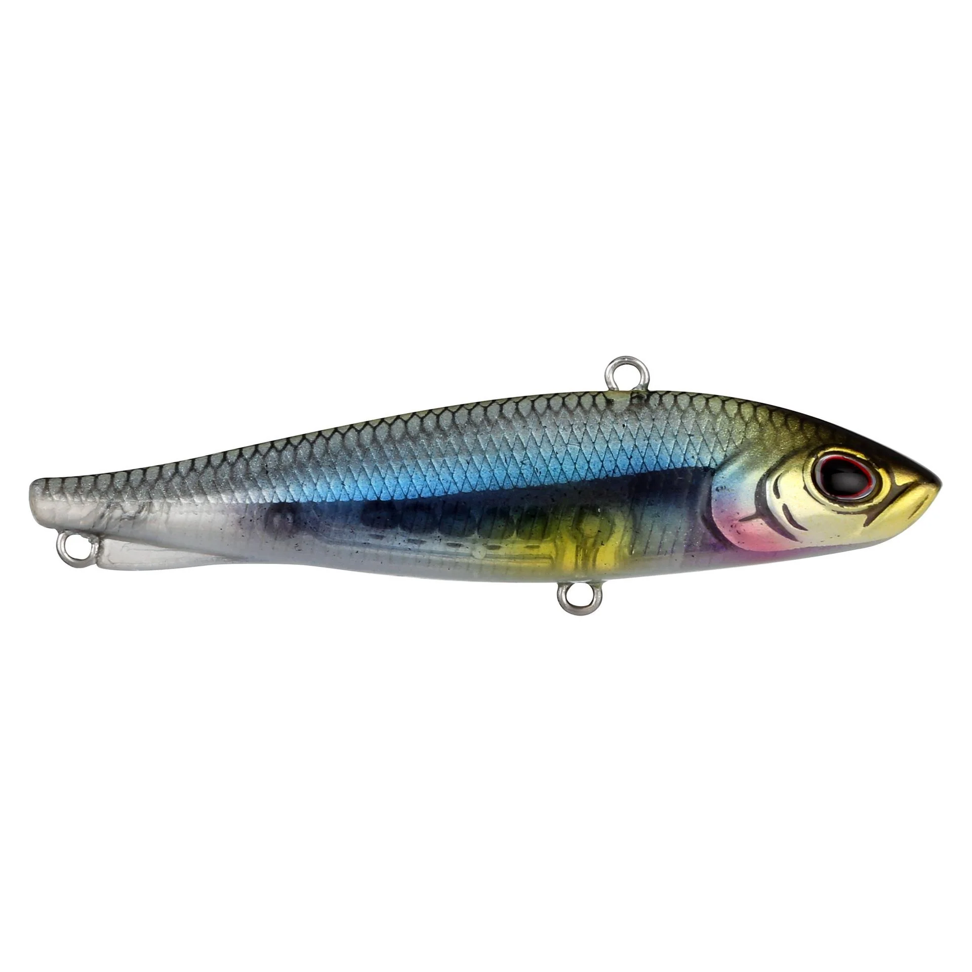 Ripfish - Image 40