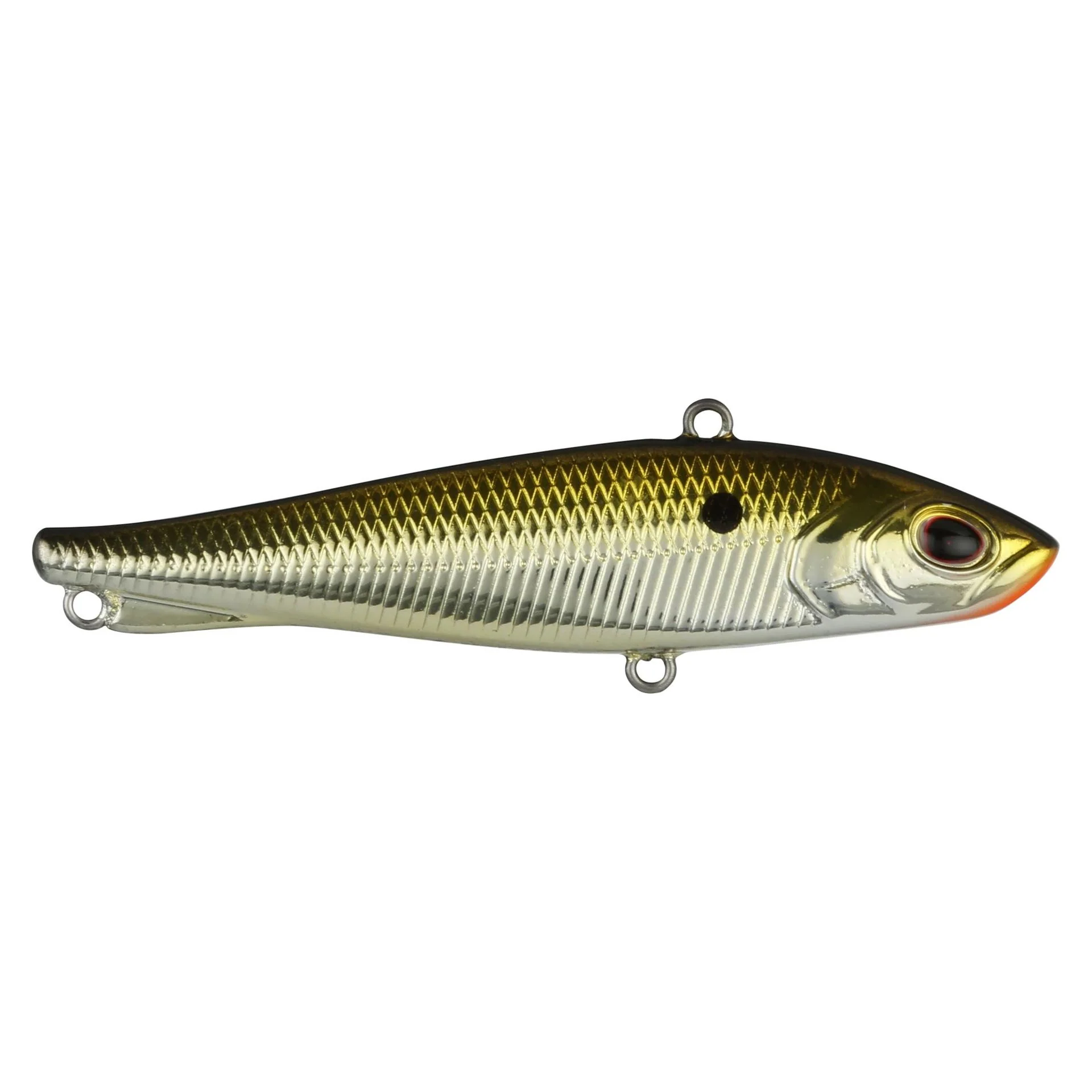 Ripfish - Image 41