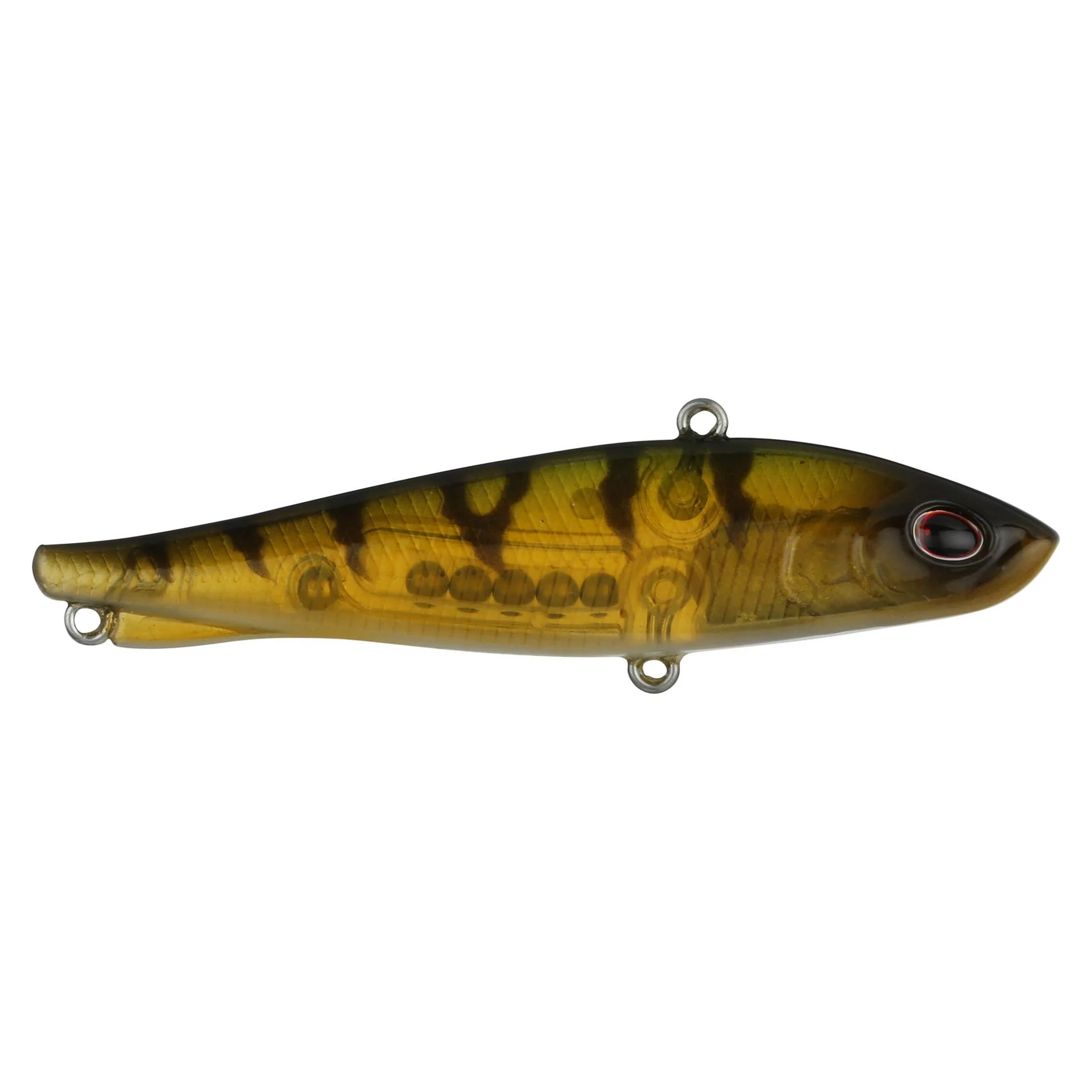 Ripfish - Image 42
