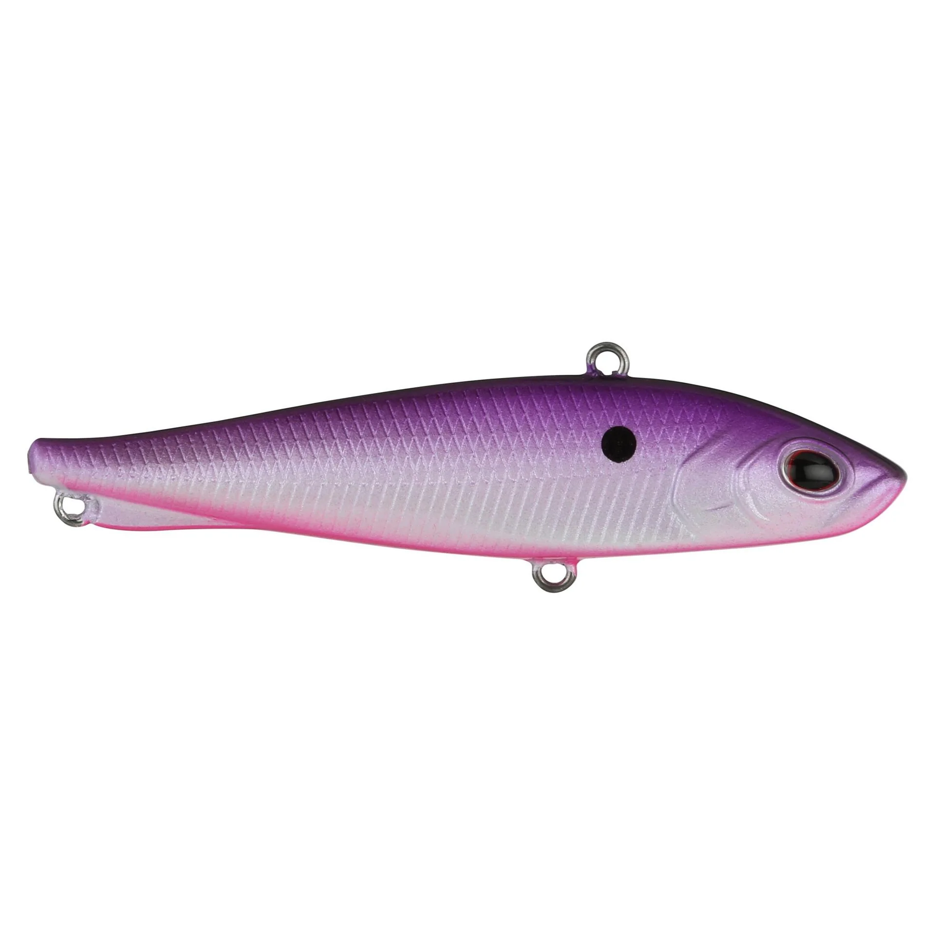 Ripfish - Image 43